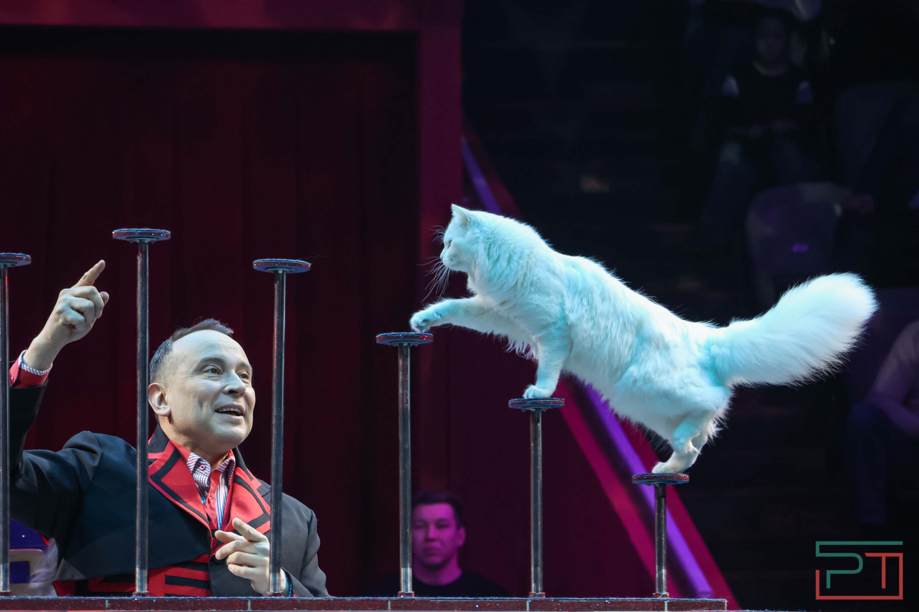 «Удивительная история»: в новой программе казанского цирка вспомнили 9 мая 1945 года