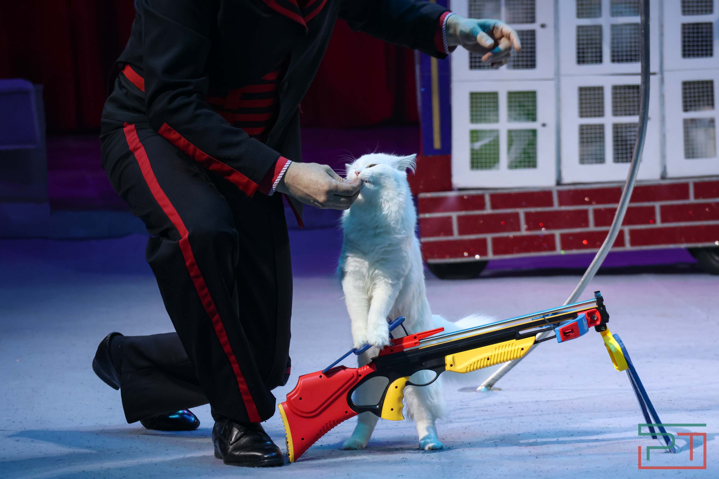 «Удивительная история»: в новой программе казанского цирка вспомнили 9 мая 1945 года