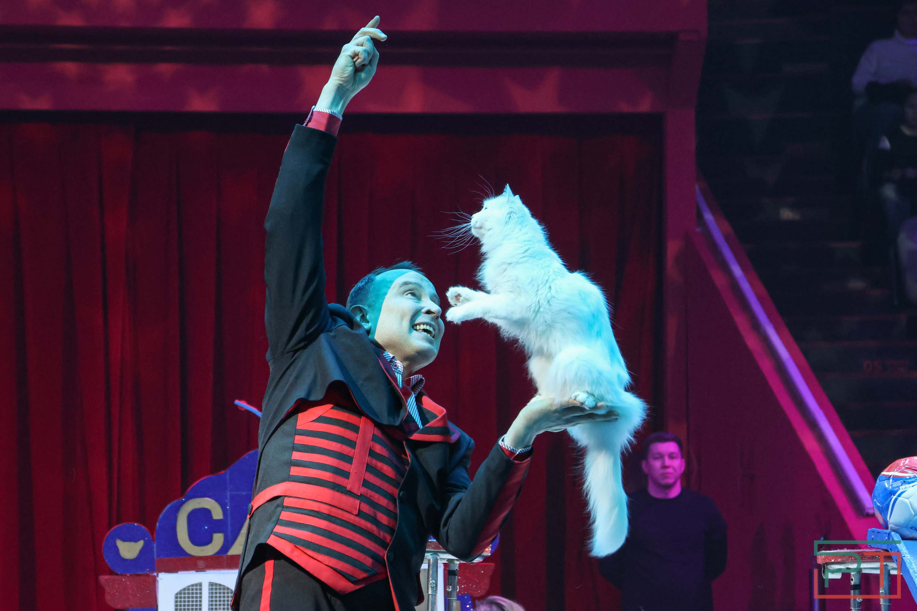 «Удивительная история»: в новой программе казанского цирка вспомнили 9 мая 1945 года