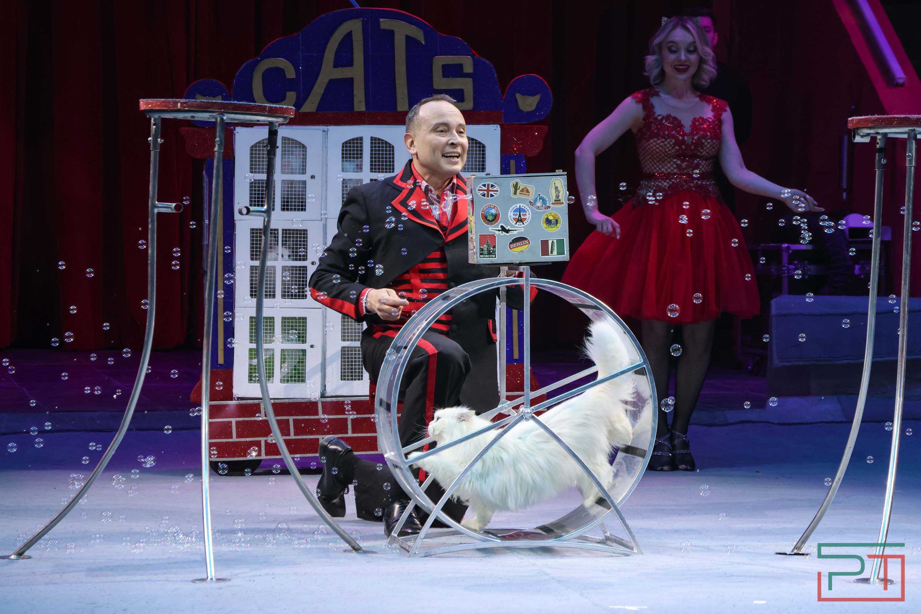 «Удивительная история»: в новой программе казанского цирка вспомнили 9 мая 1945 года