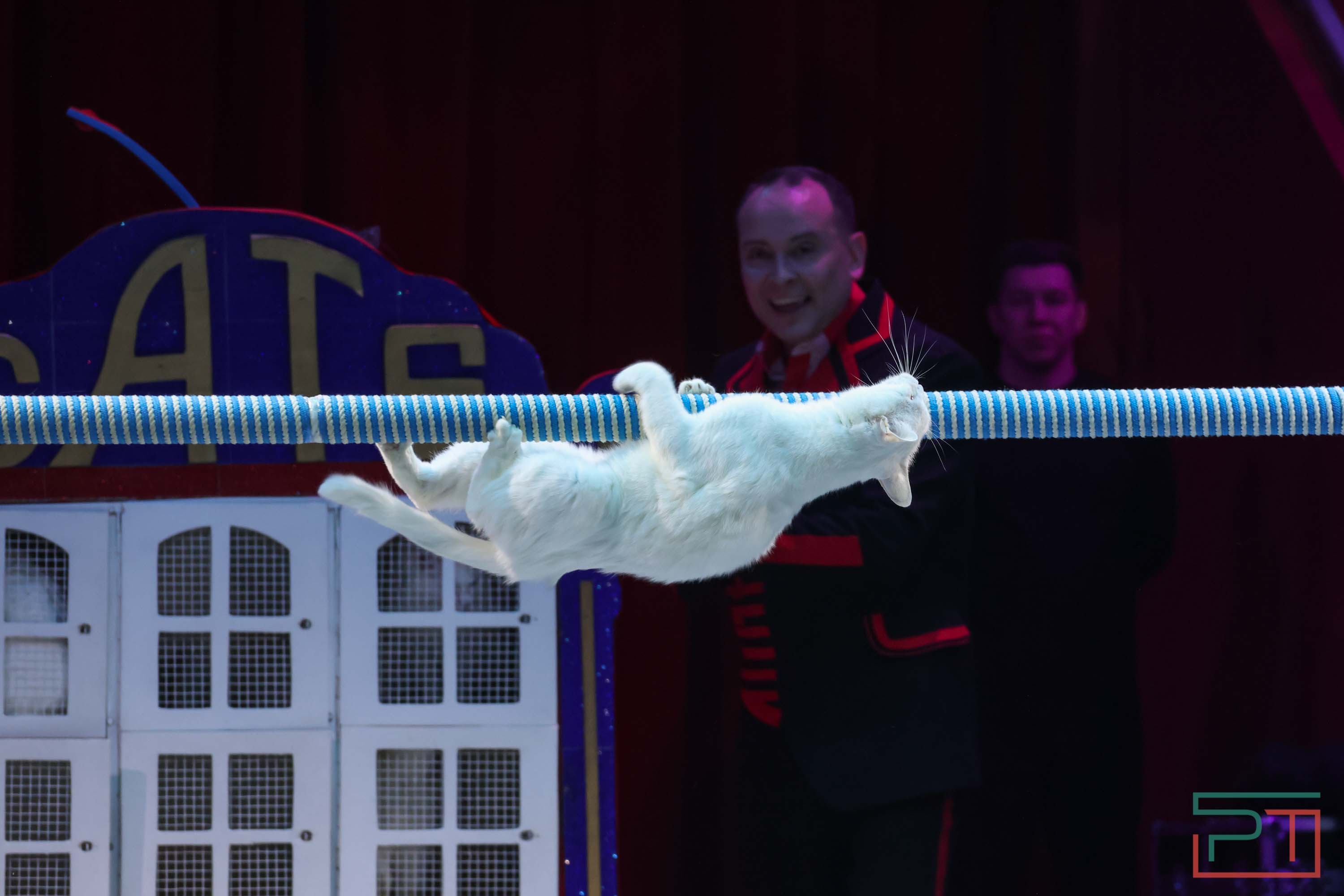 «Удивительная история»: в новой программе казанского цирка вспомнили 9 мая 1945 года