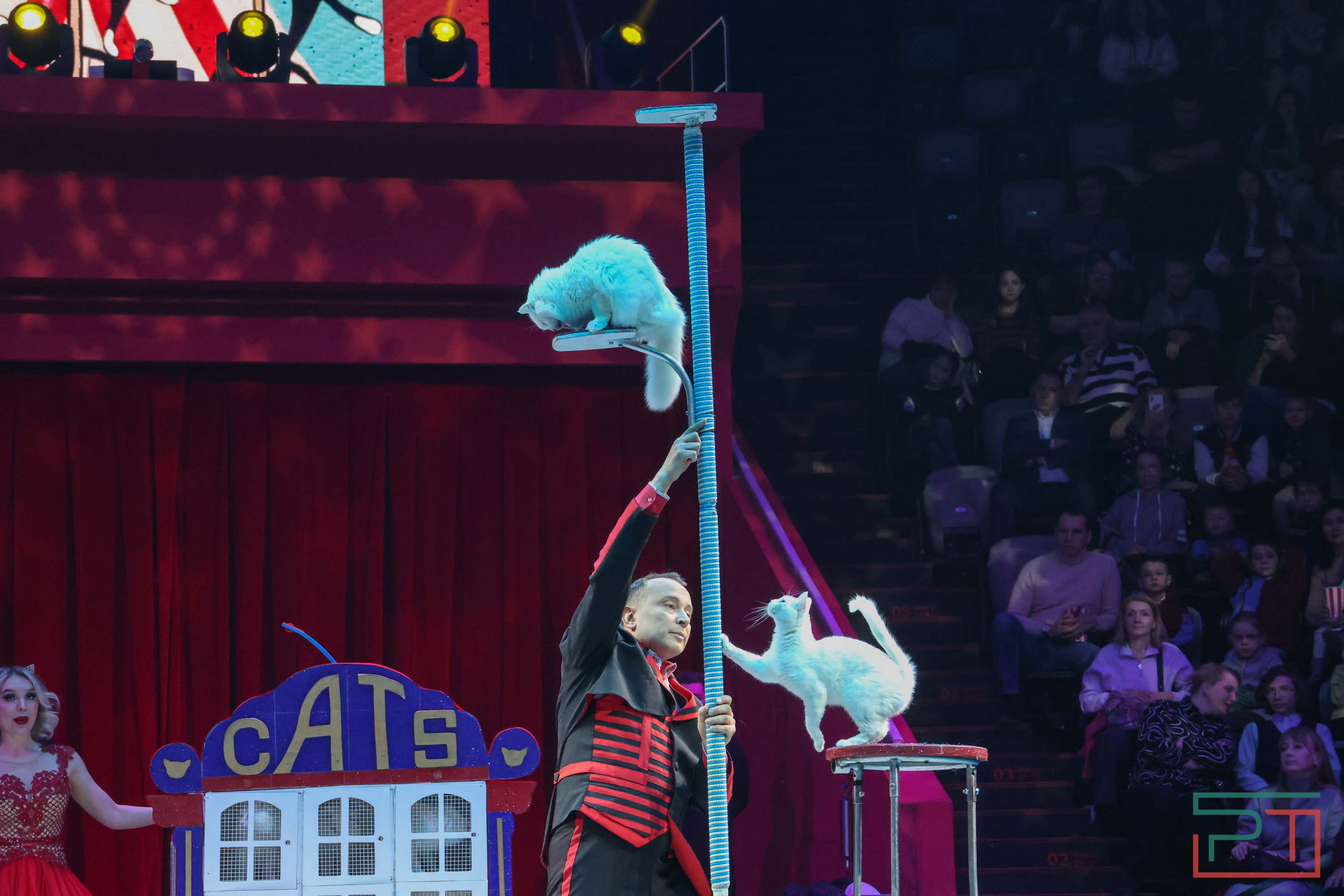 «Удивительная история»: в новой программе казанского цирка вспомнили 9 мая 1945 года