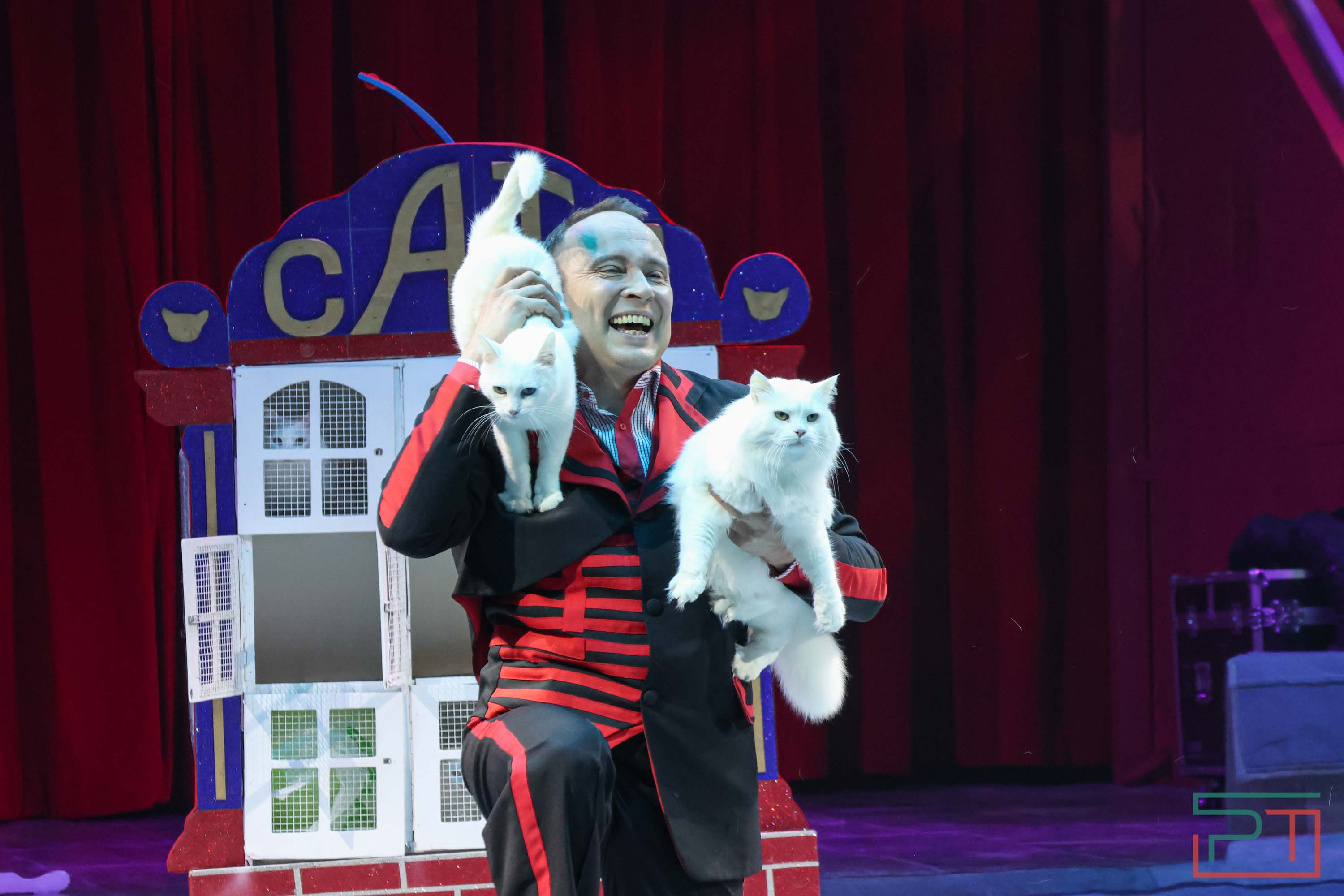 «Удивительная история»: в новой программе казанского цирка вспомнили 9 мая 1945 года