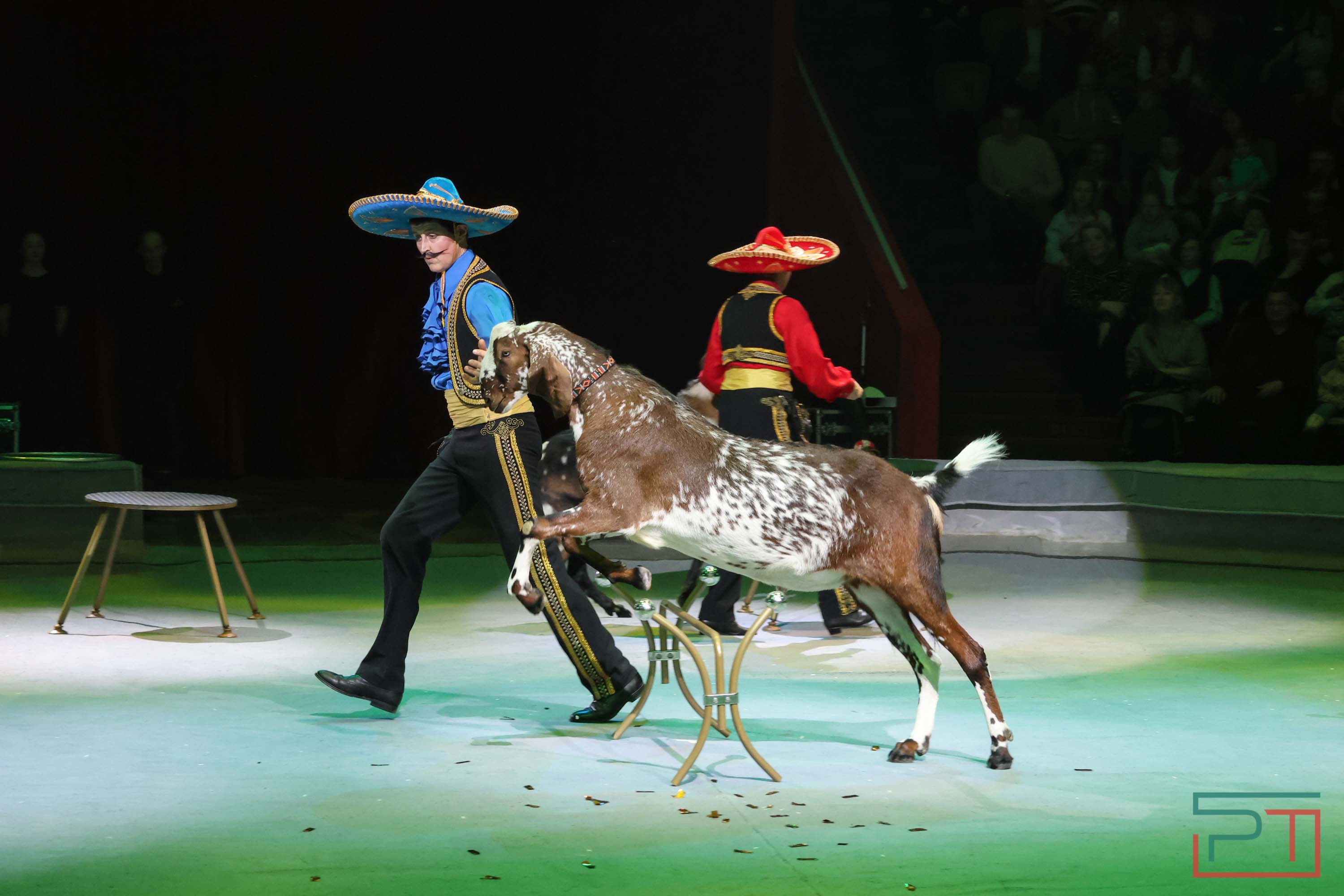 «Удивительная история»: в новой программе казанского цирка вспомнили 9 мая 1945 года