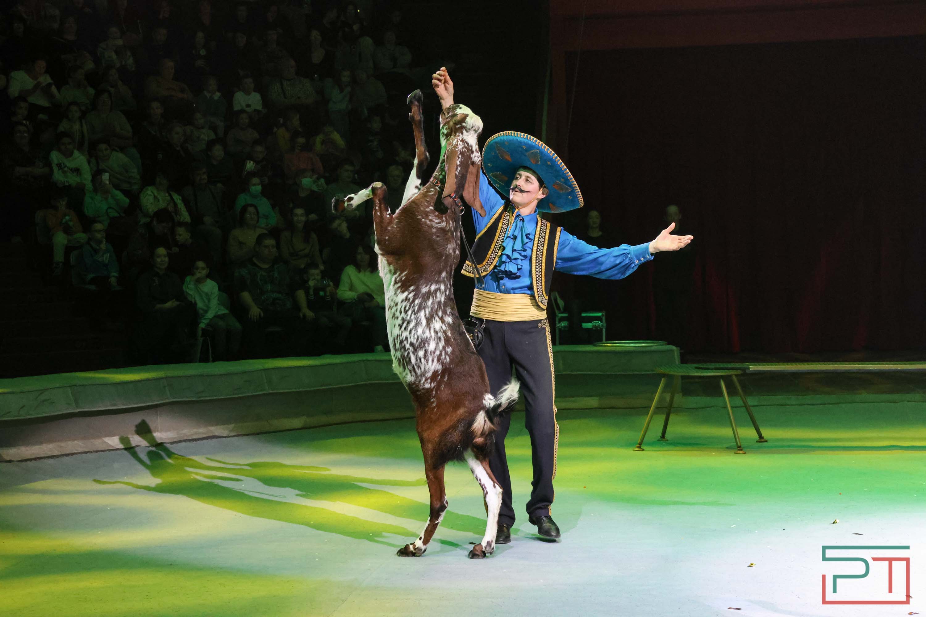 «Удивительная история»: в новой программе казанского цирка вспомнили 9 мая 1945 года