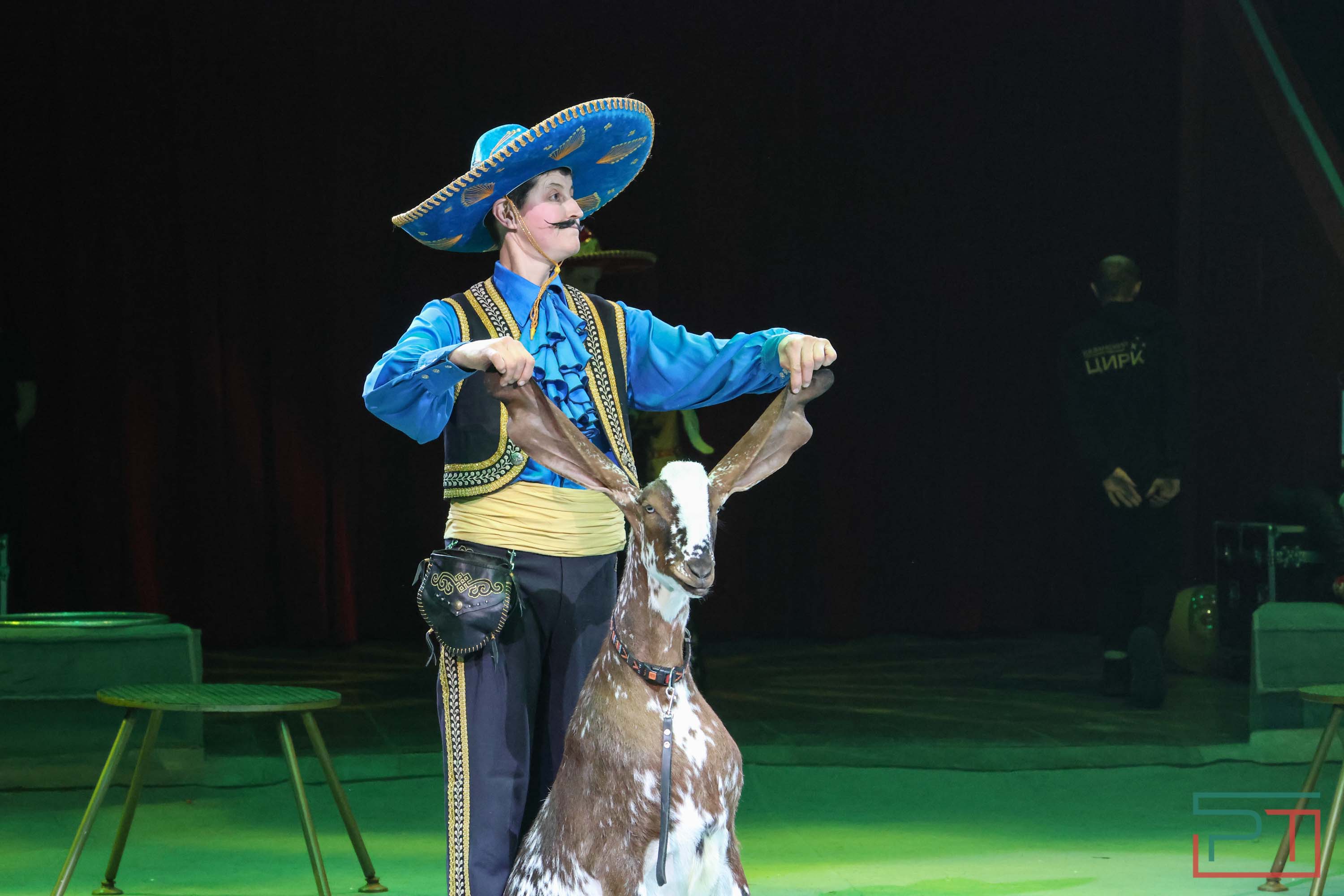 «Удивительная история»: в новой программе казанского цирка вспомнили 9 мая 1945 года