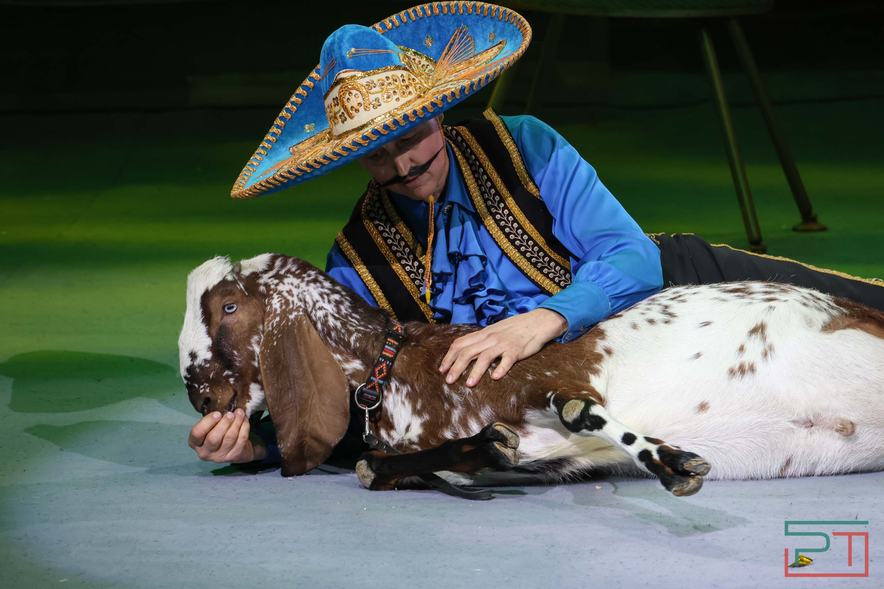 «Удивительная история»: в новой программе казанского цирка вспомнили 9 мая 1945 года