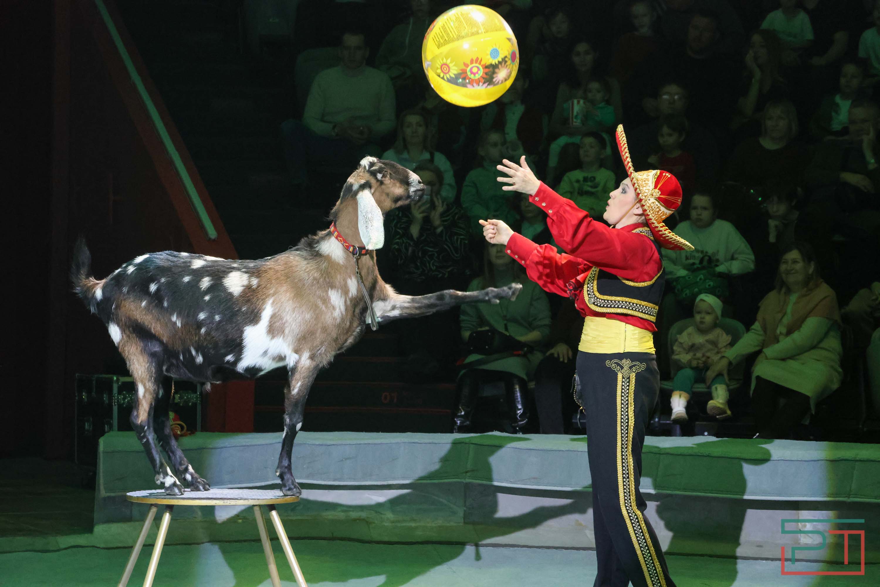 «Удивительная история»: в новой программе казанского цирка вспомнили 9 мая 1945 года