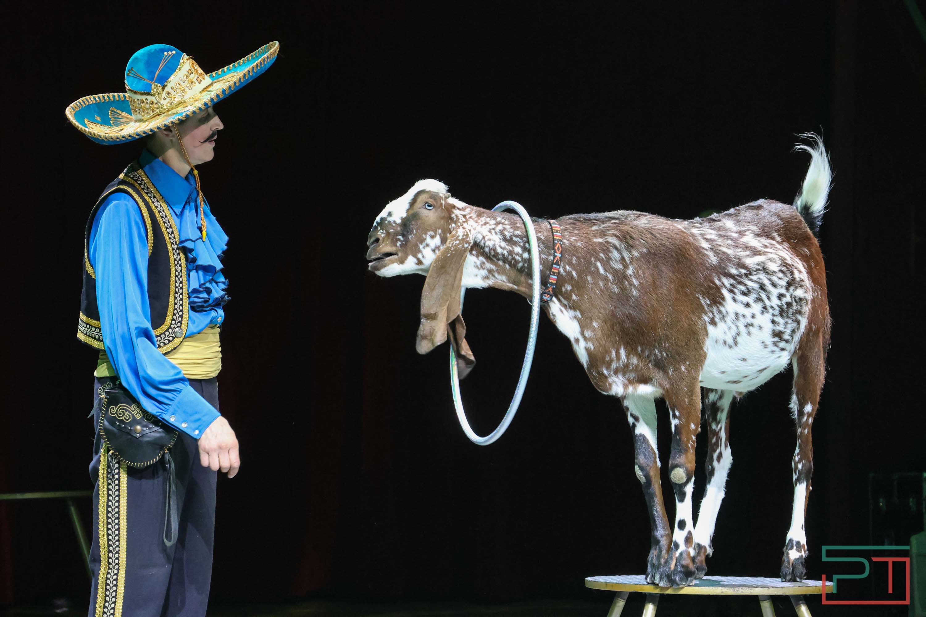 «Удивительная история»: в новой программе казанского цирка вспомнили 9 мая 1945 года