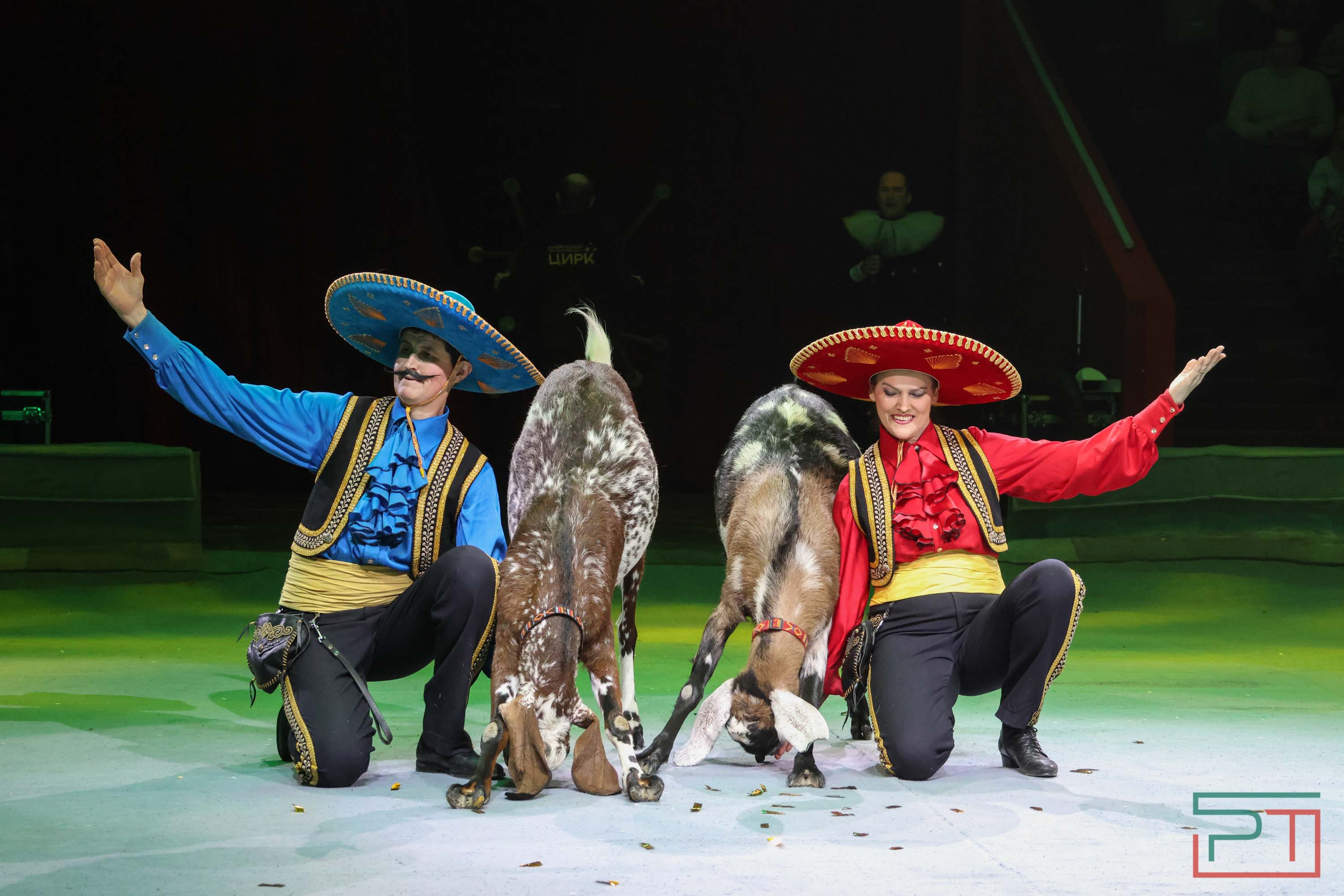 «Удивительная история»: в новой программе казанского цирка вспомнили 9 мая 1945 года