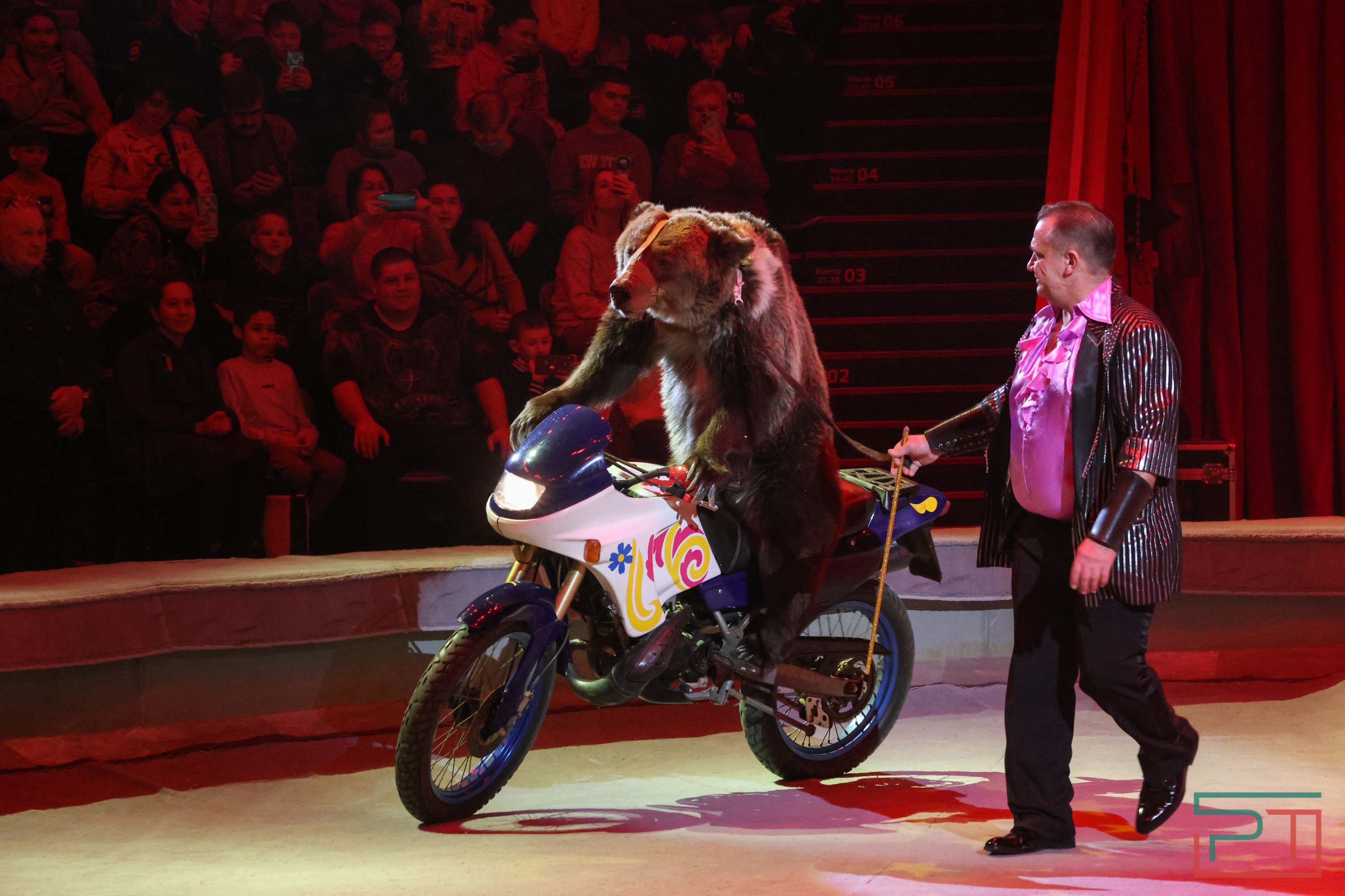 «Удивительная история»: в новой программе казанского цирка вспомнили 9 мая 1945 года