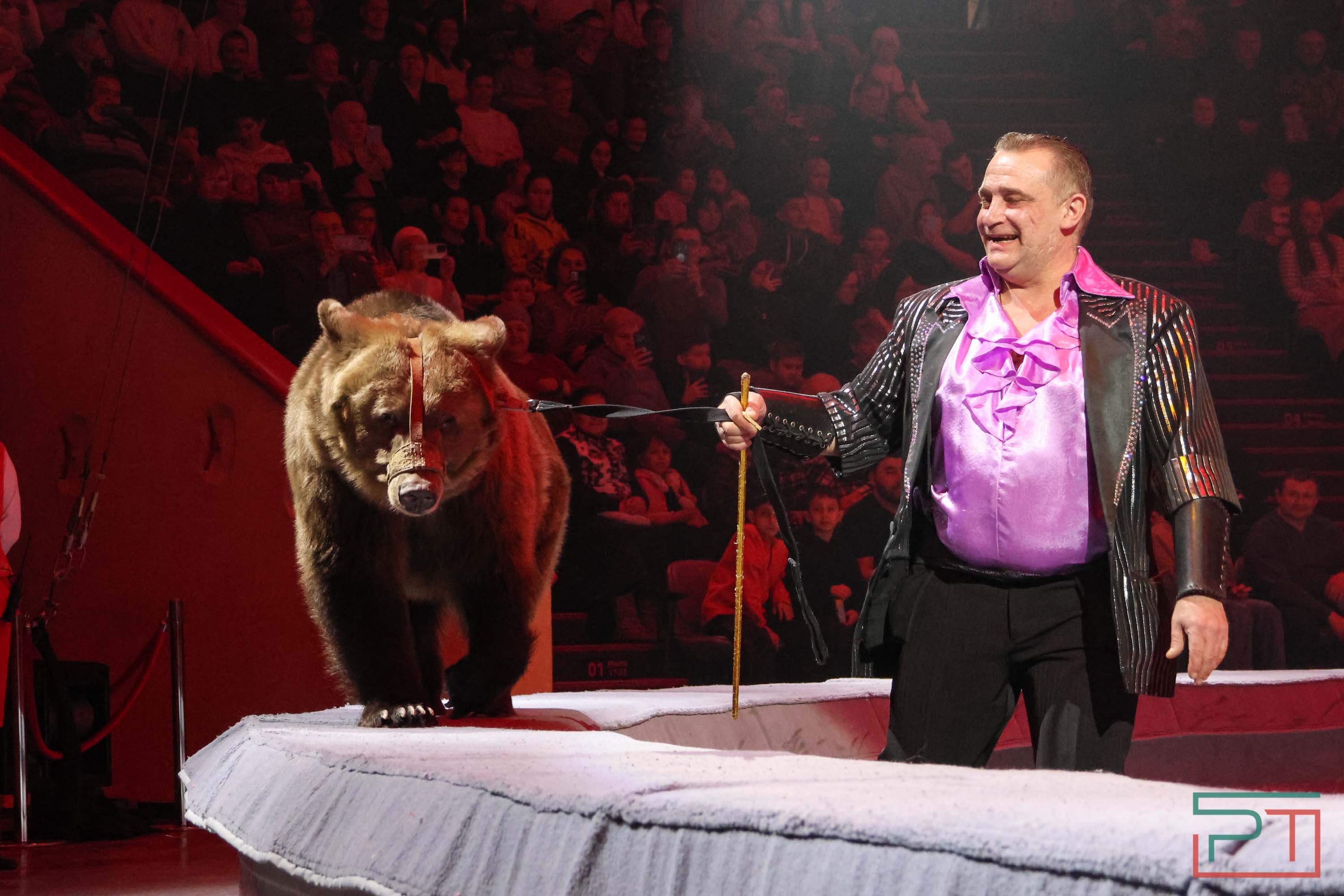 «Удивительная история»: в новой программе казанского цирка вспомнили 9 мая 1945 года