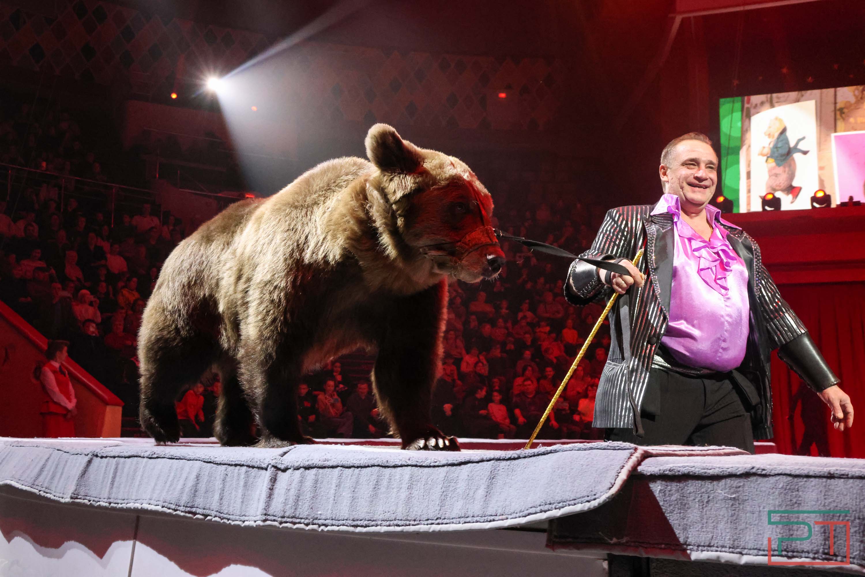 «Удивительная история»: в новой программе казанского цирка вспомнили 9 мая 1945 года