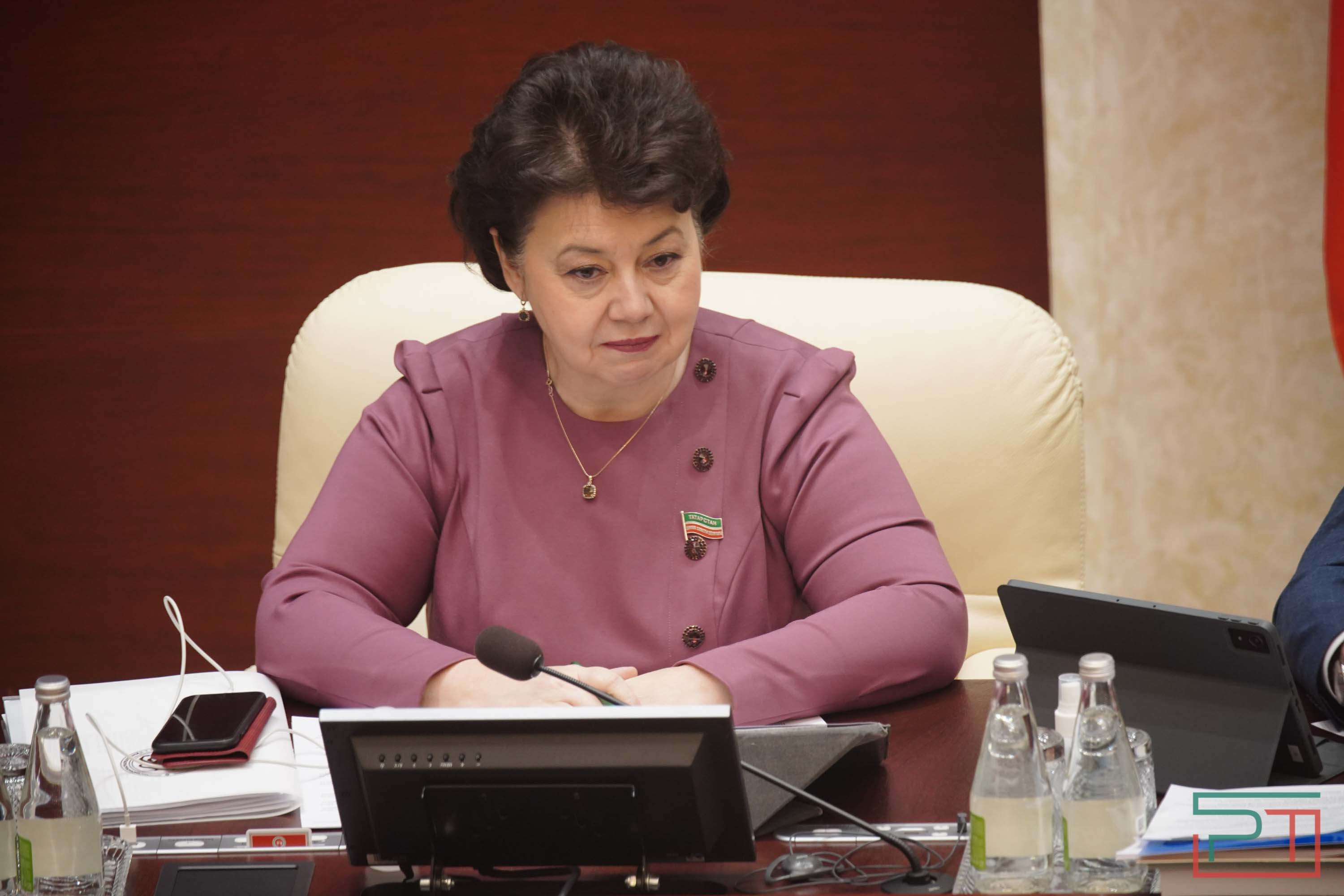 «Мы видим озабоченность»: в парламенте Татарстана обсудили рост киберпреступности