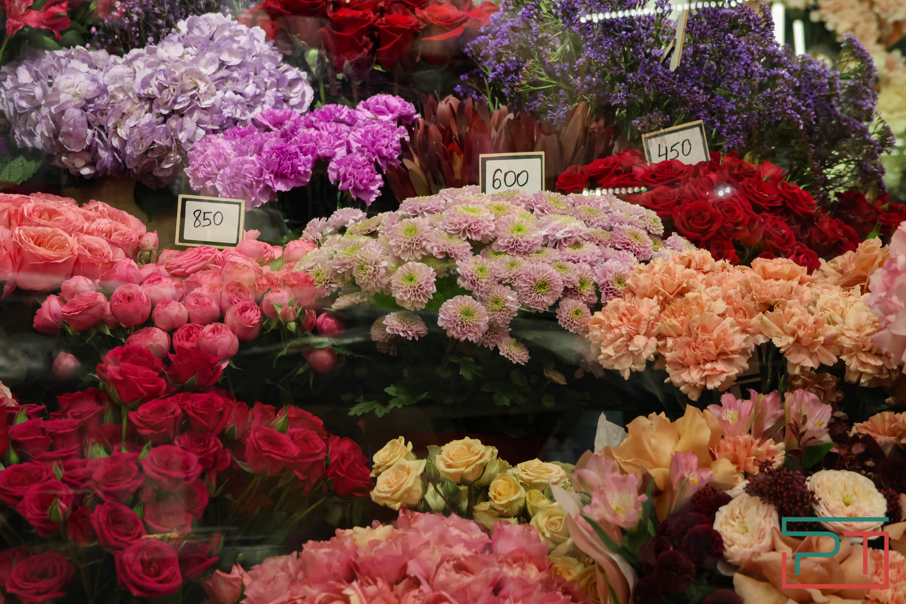 Тюльпаны ударят по карману: мужчины в Татарстане прицениваются к цветам