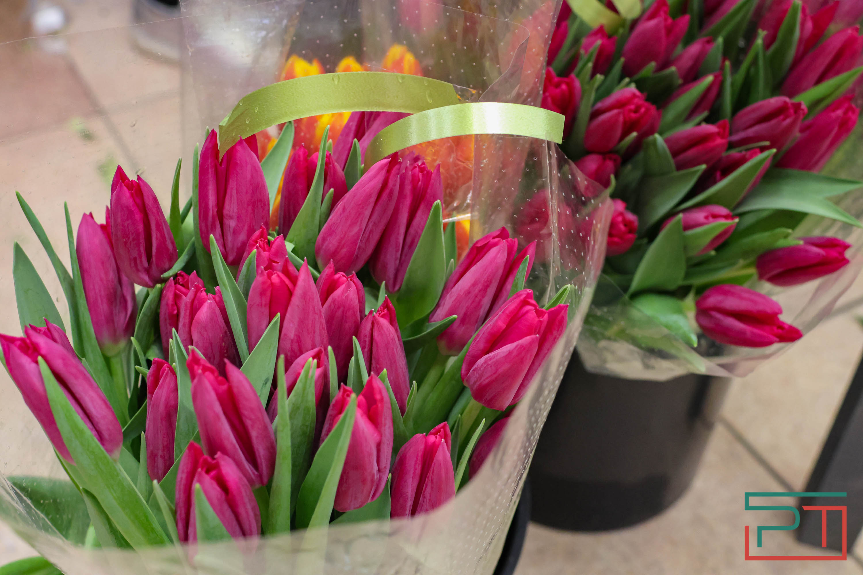 Тюльпаны ударят по карману: мужчины в Татарстане прицениваются к цветам