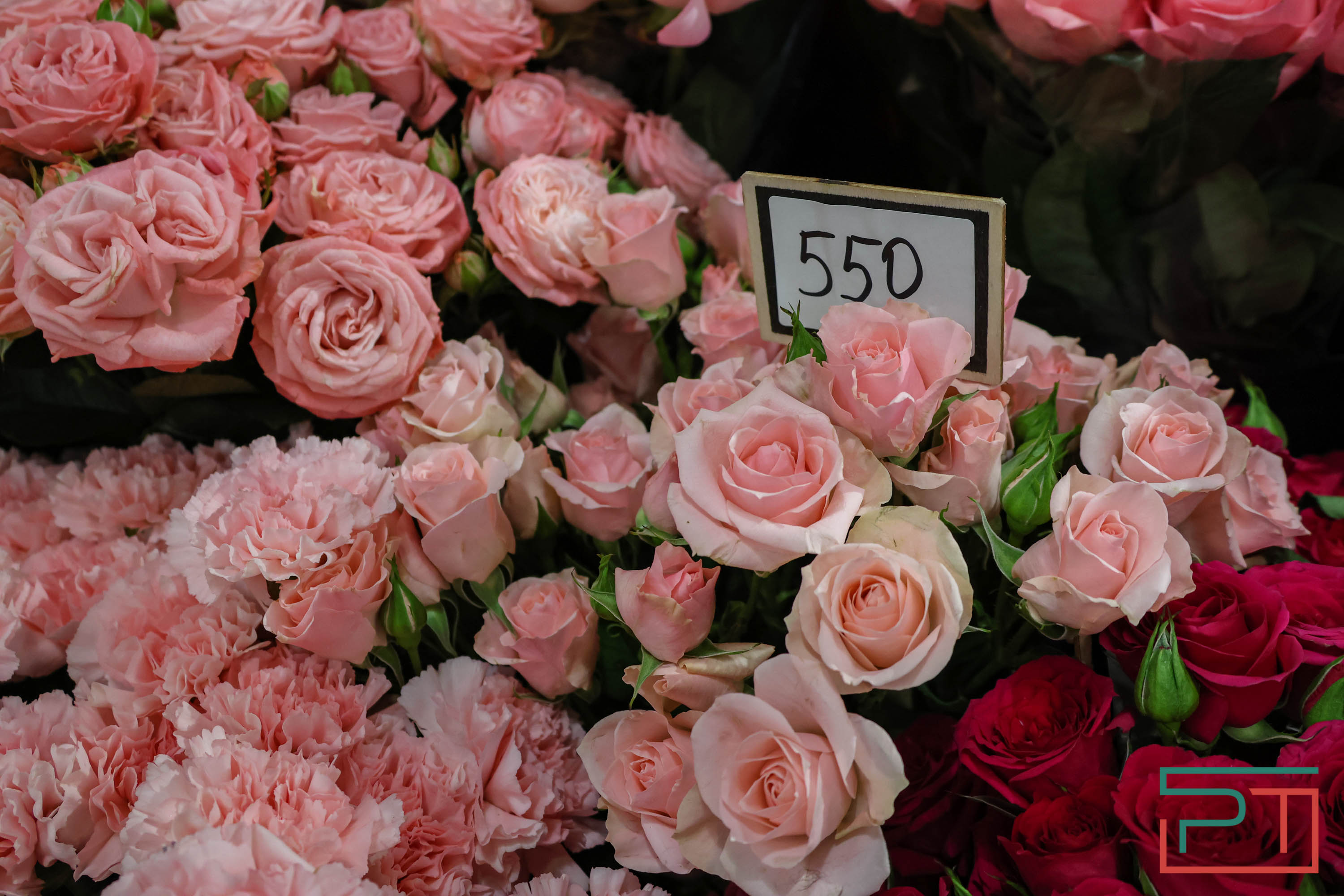 Тюльпаны ударят по карману: мужчины в Татарстане прицениваются к цветам