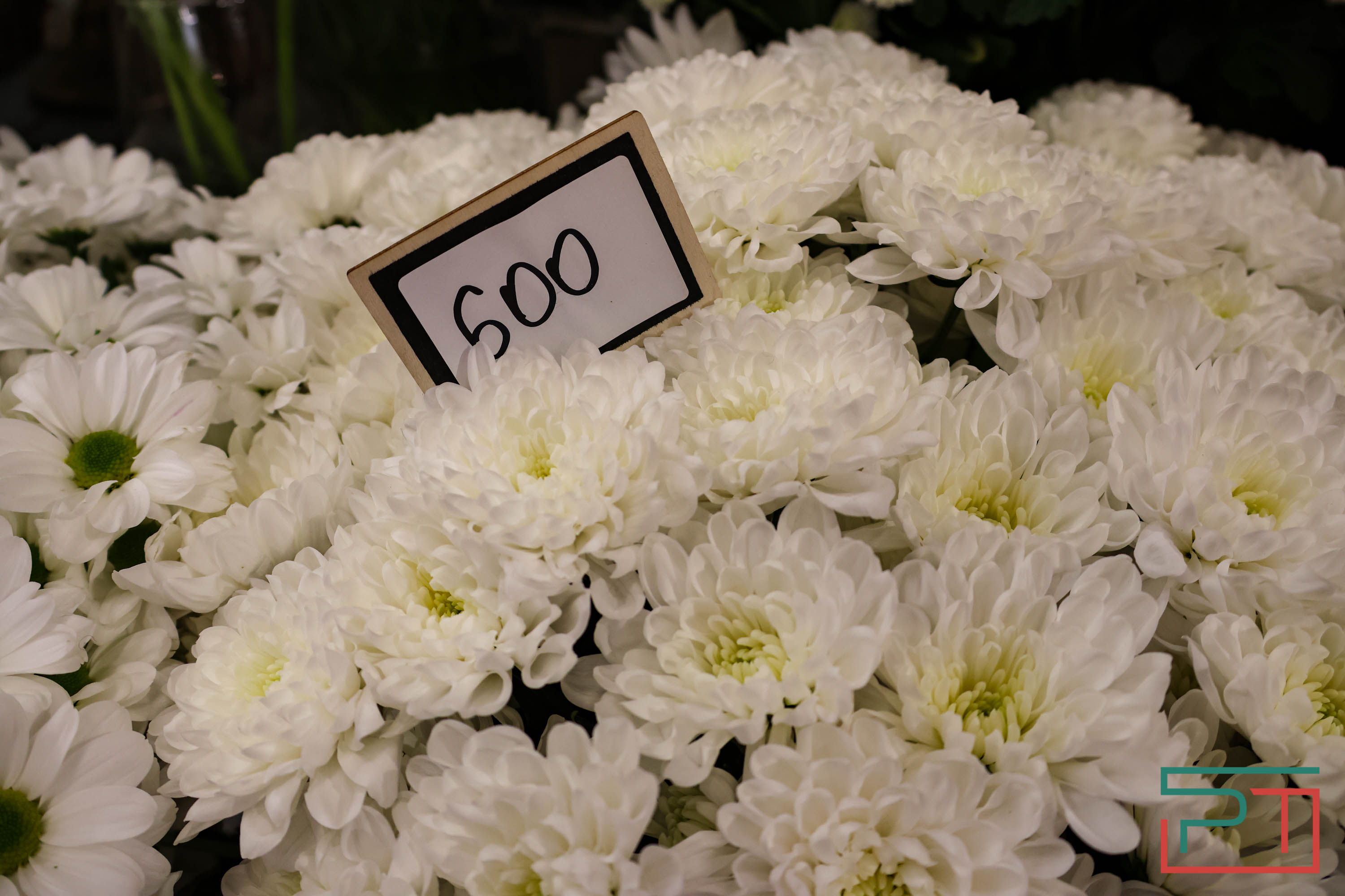 Тюльпаны ударят по карману: мужчины в Татарстане прицениваются к цветам