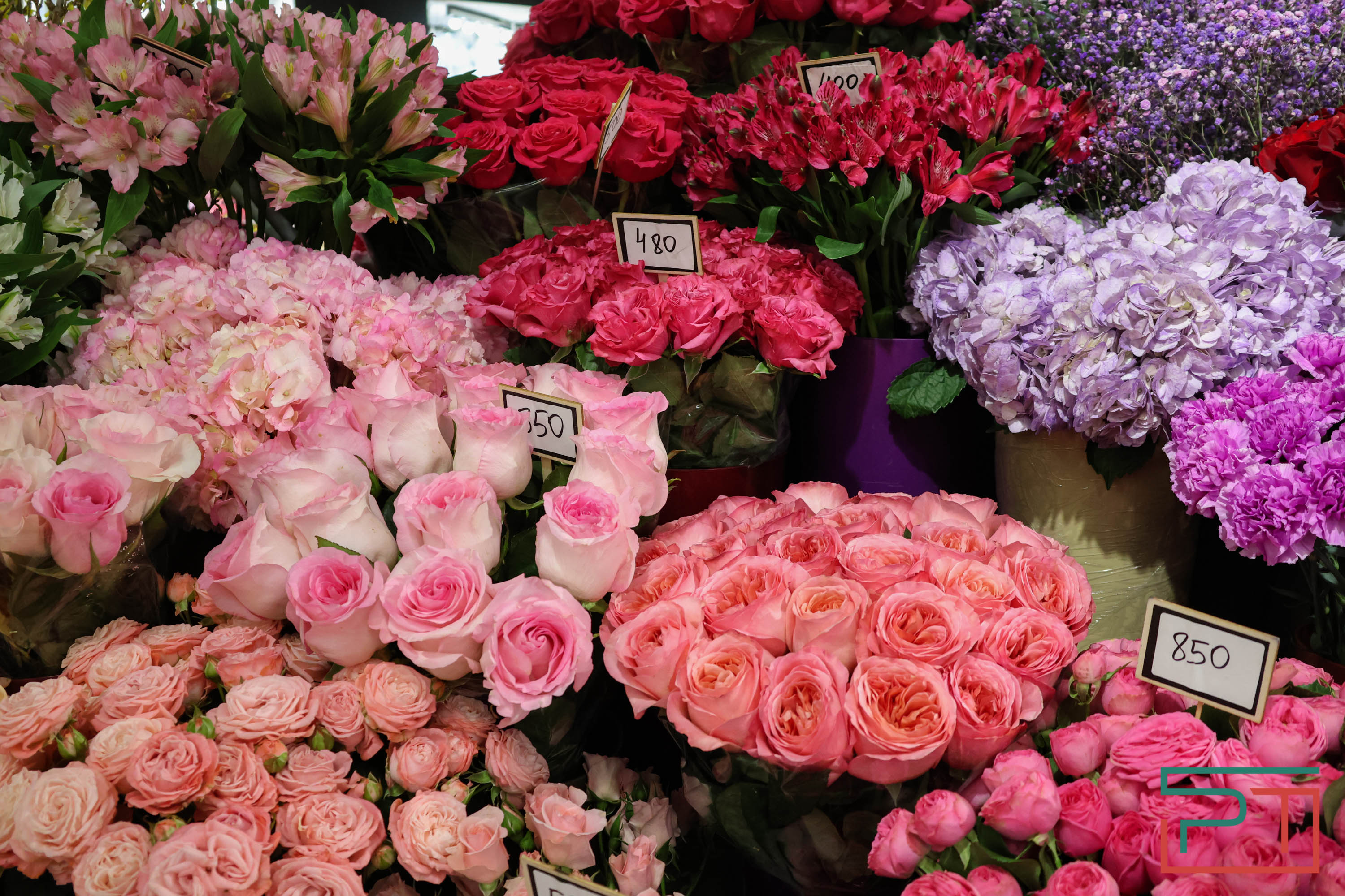 Тюльпаны ударят по карману: мужчины в Татарстане прицениваются к цветам