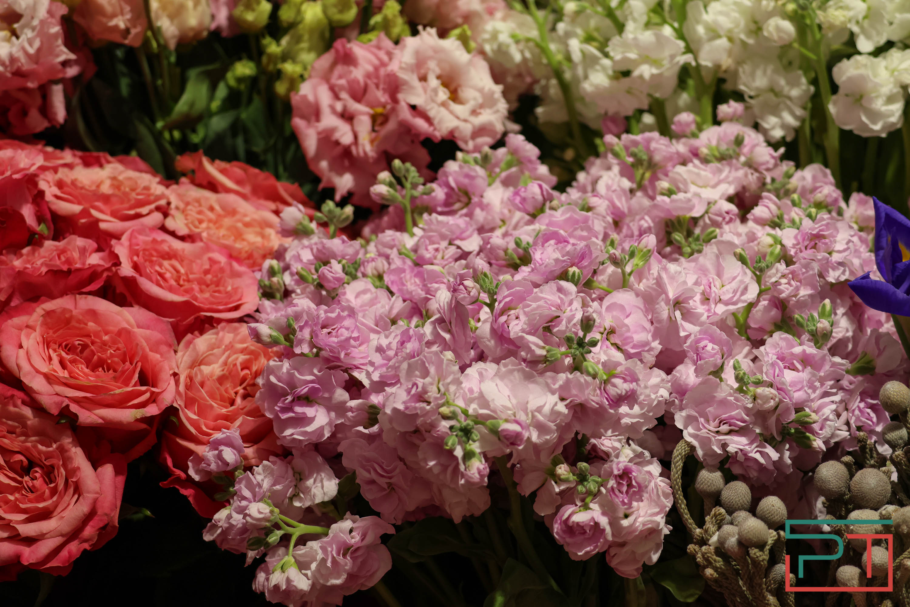 Тюльпаны ударят по карману: мужчины в Татарстане прицениваются к цветам