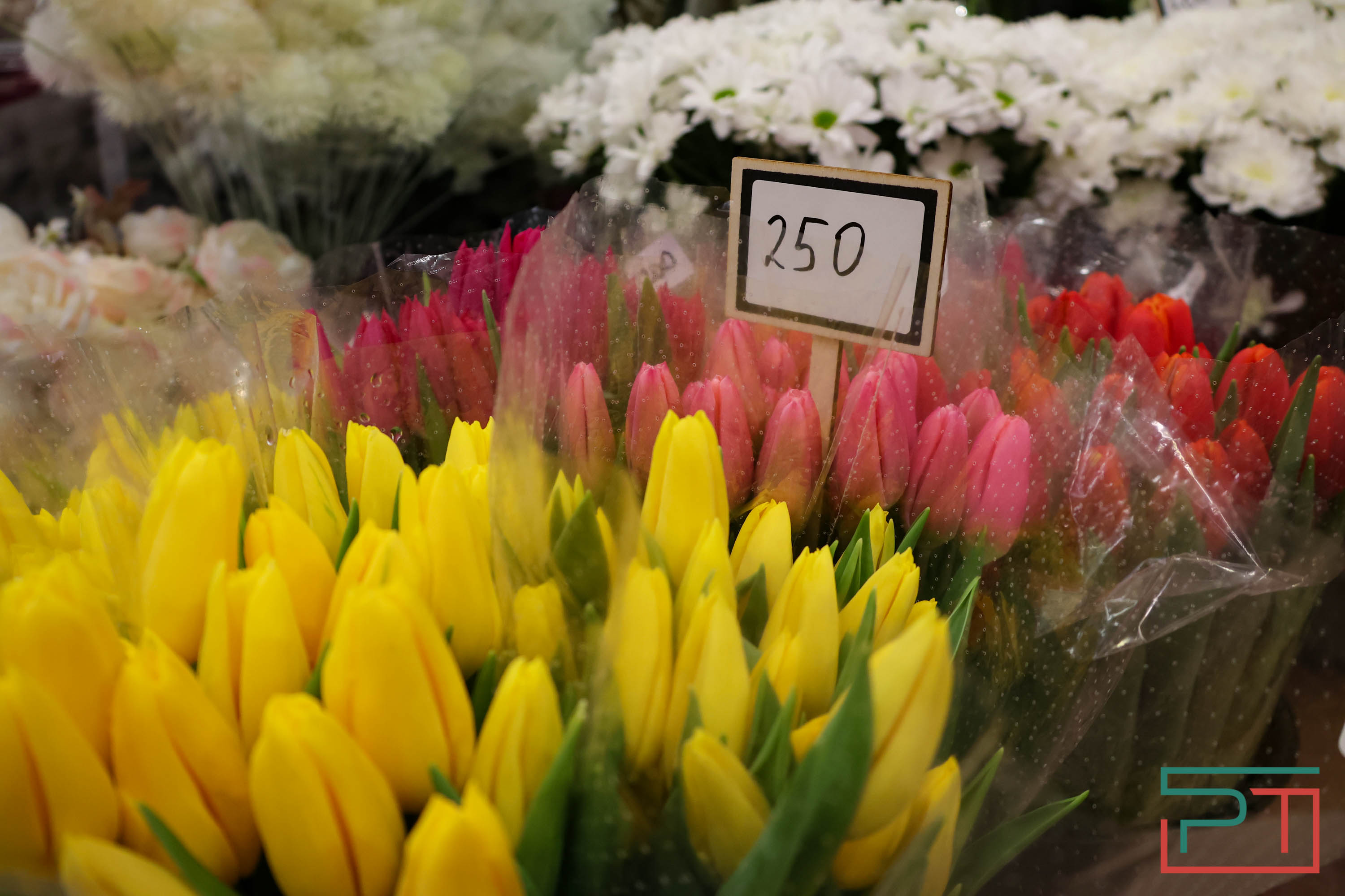 Тюльпаны ударят по карману: мужчины в Татарстане прицениваются к цветам