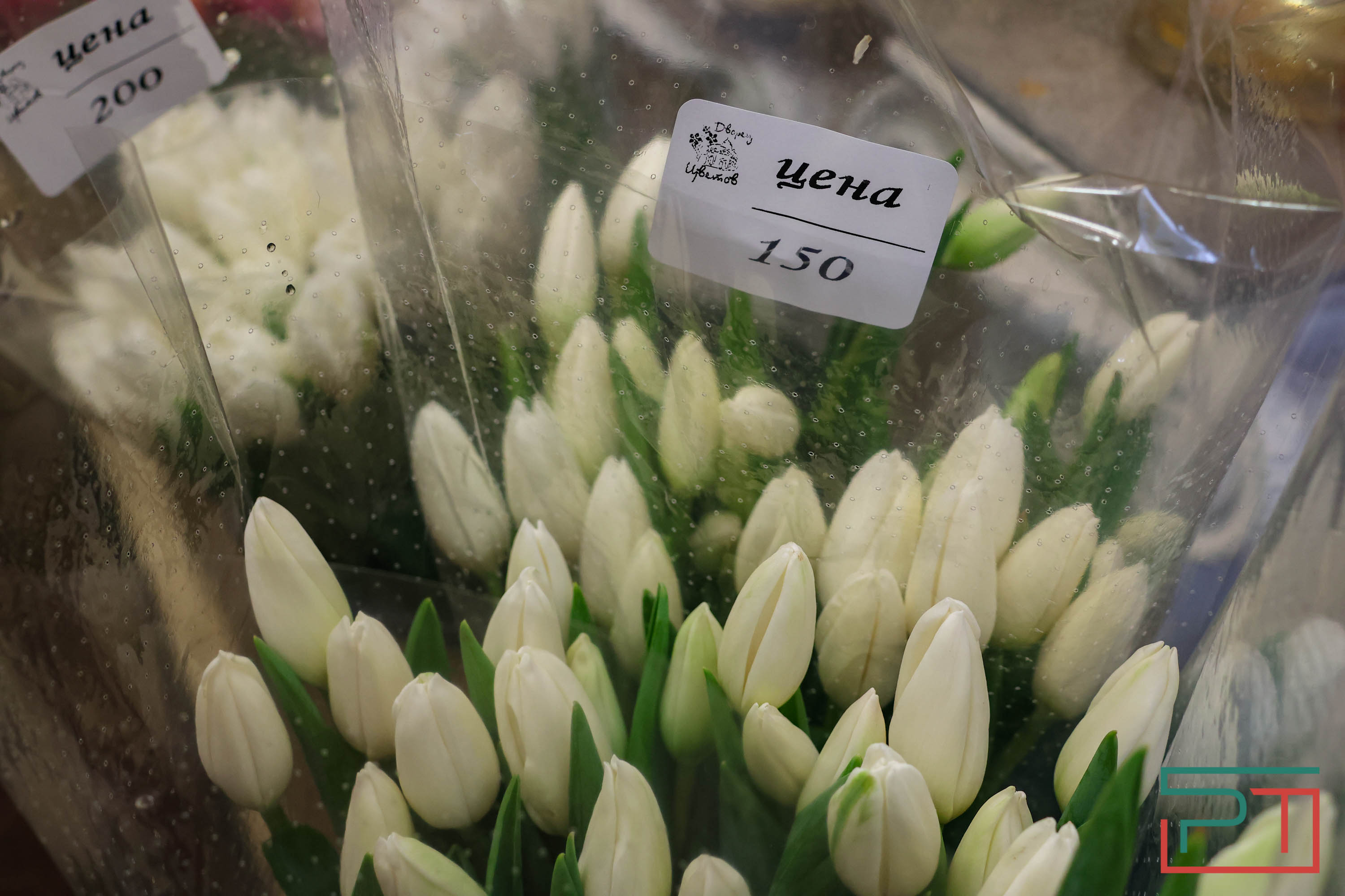 Тюльпаны ударят по карману: мужчины в Татарстане прицениваются к цветам