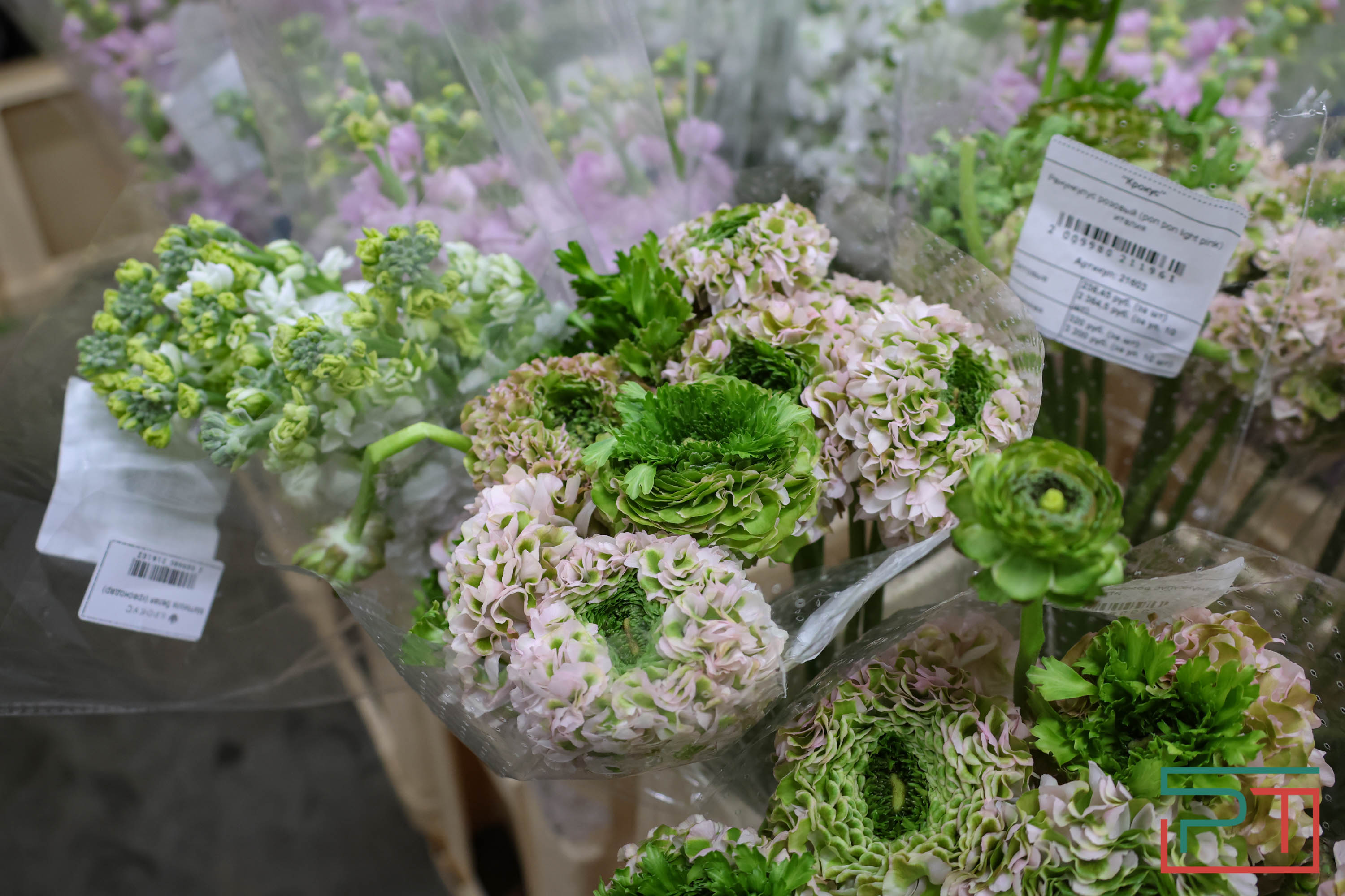 Тюльпаны ударят по карману: мужчины в Татарстане прицениваются к цветам