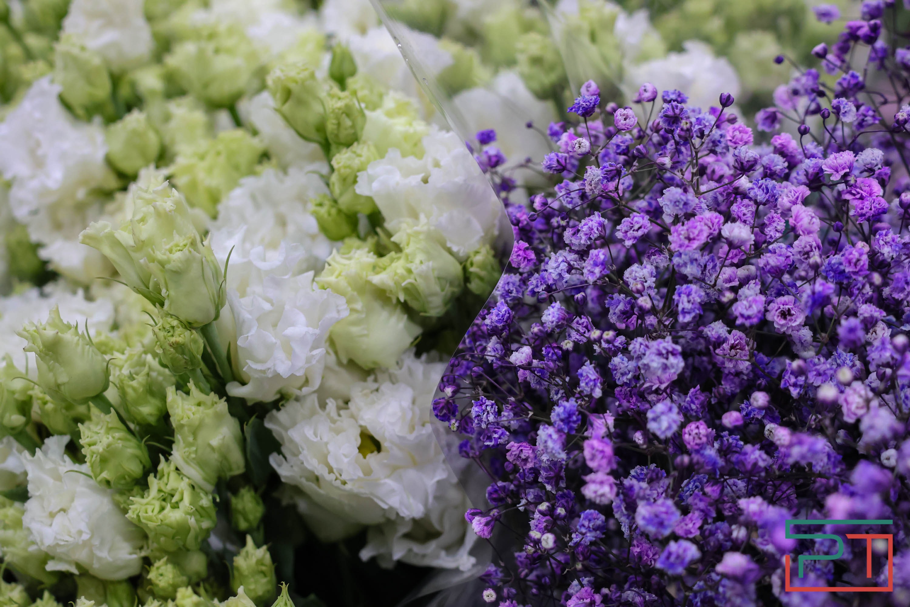 Тюльпаны ударят по карману: мужчины в Татарстане прицениваются к цветам