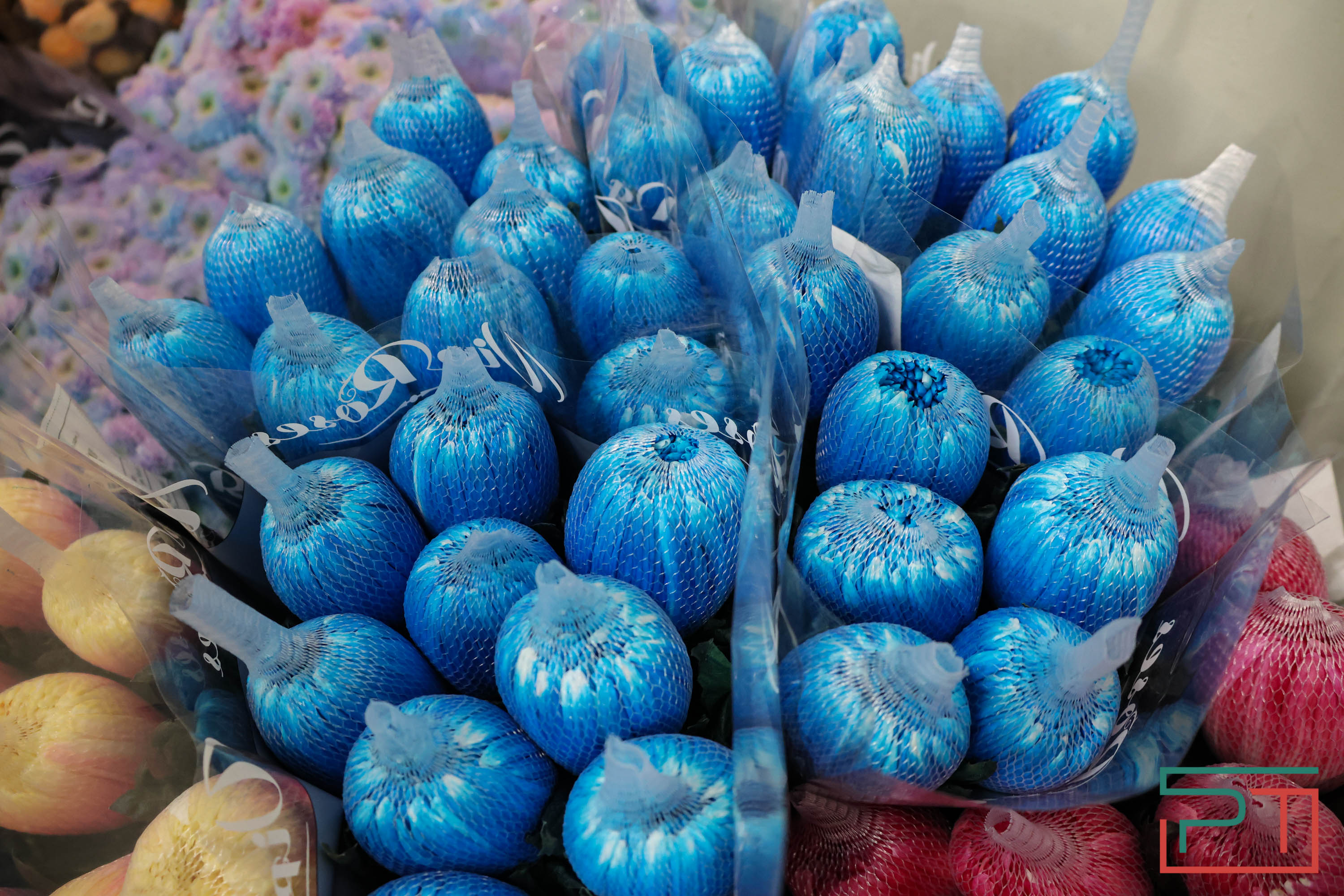 Тюльпаны ударят по карману: мужчины в Татарстане прицениваются к цветам