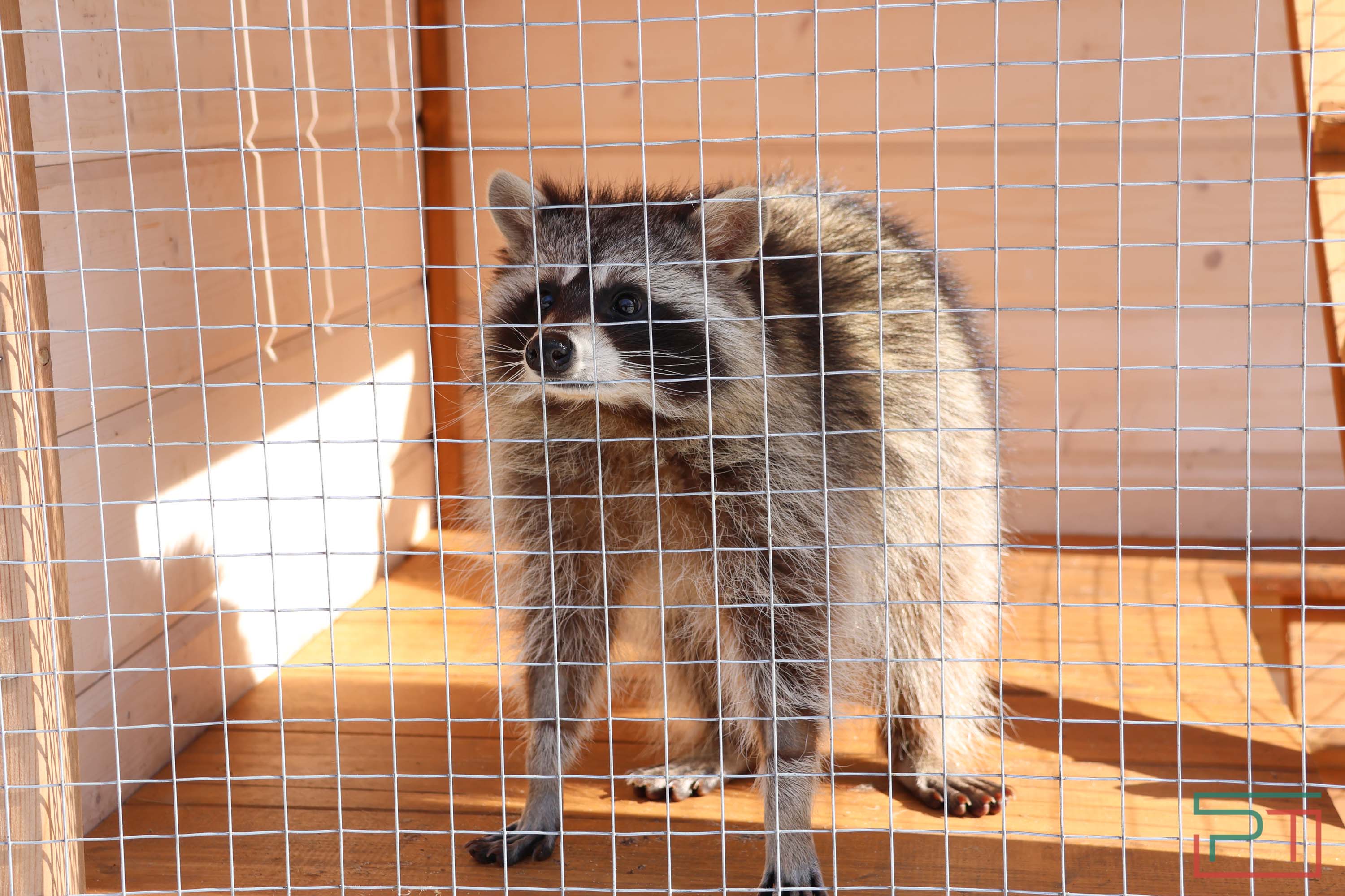 Пресс-тур по глэмпингам Татарстана