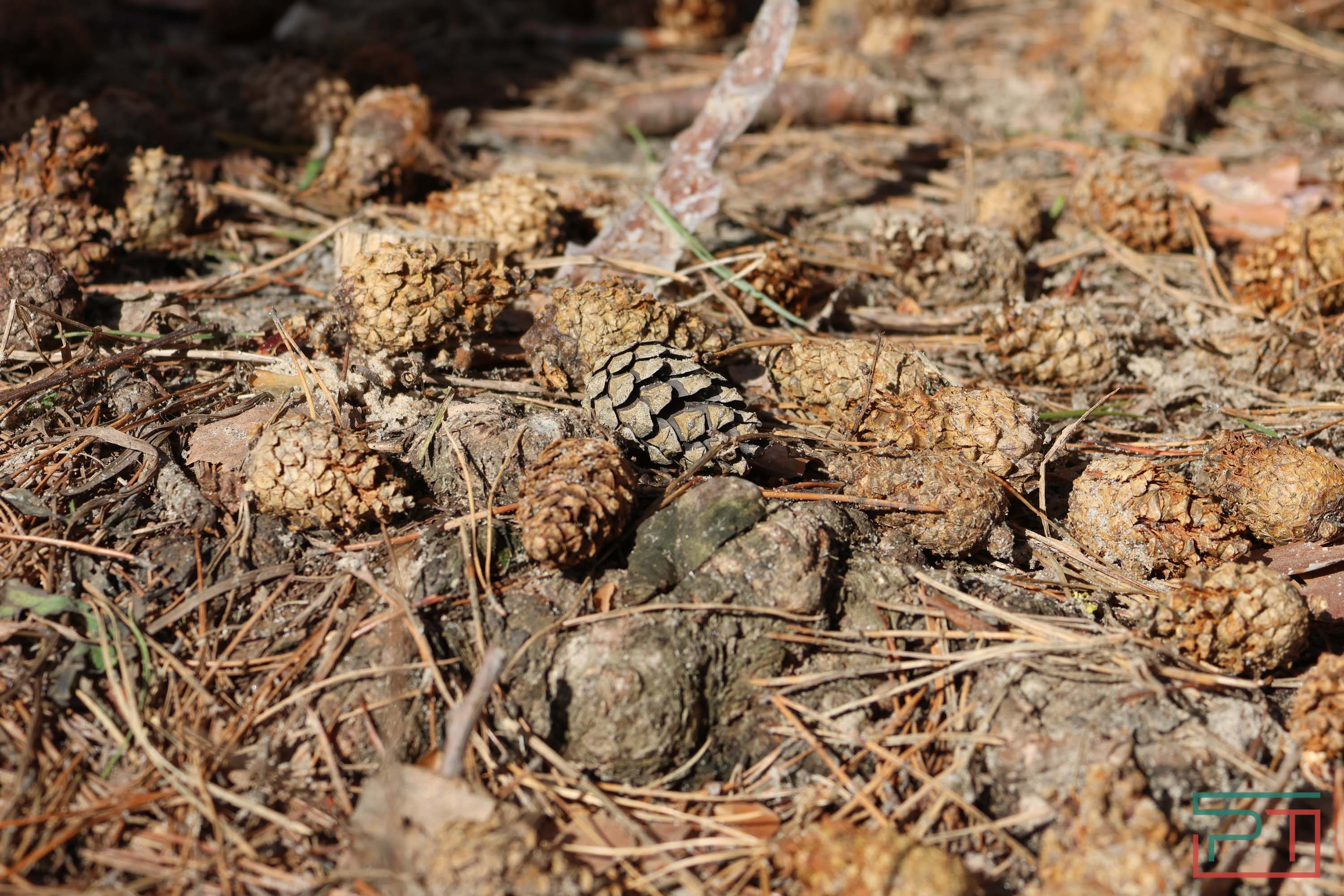 Пресс-тур по глэмпингам Татарстана