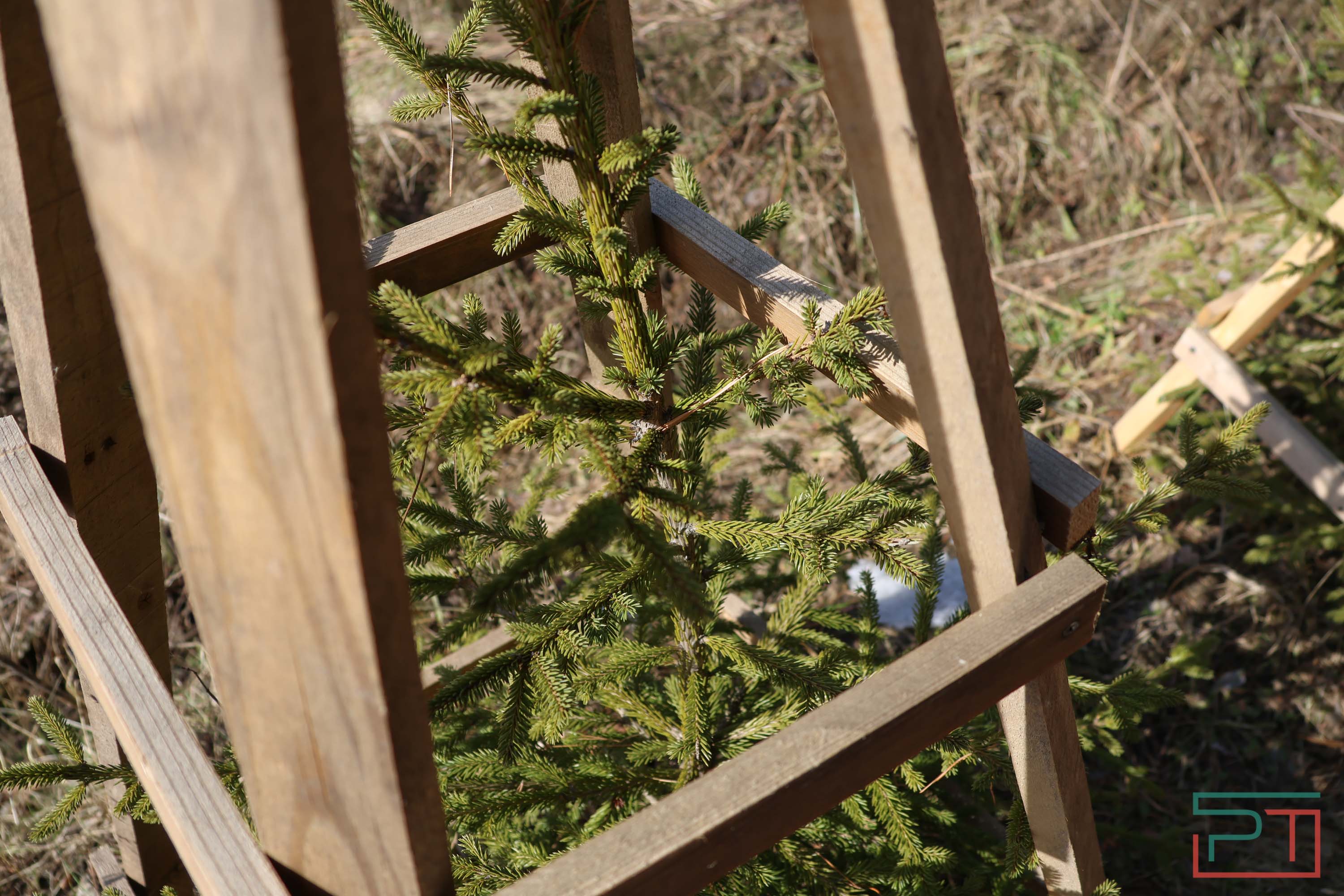 Пресс-тур по глэмпингам Татарстана