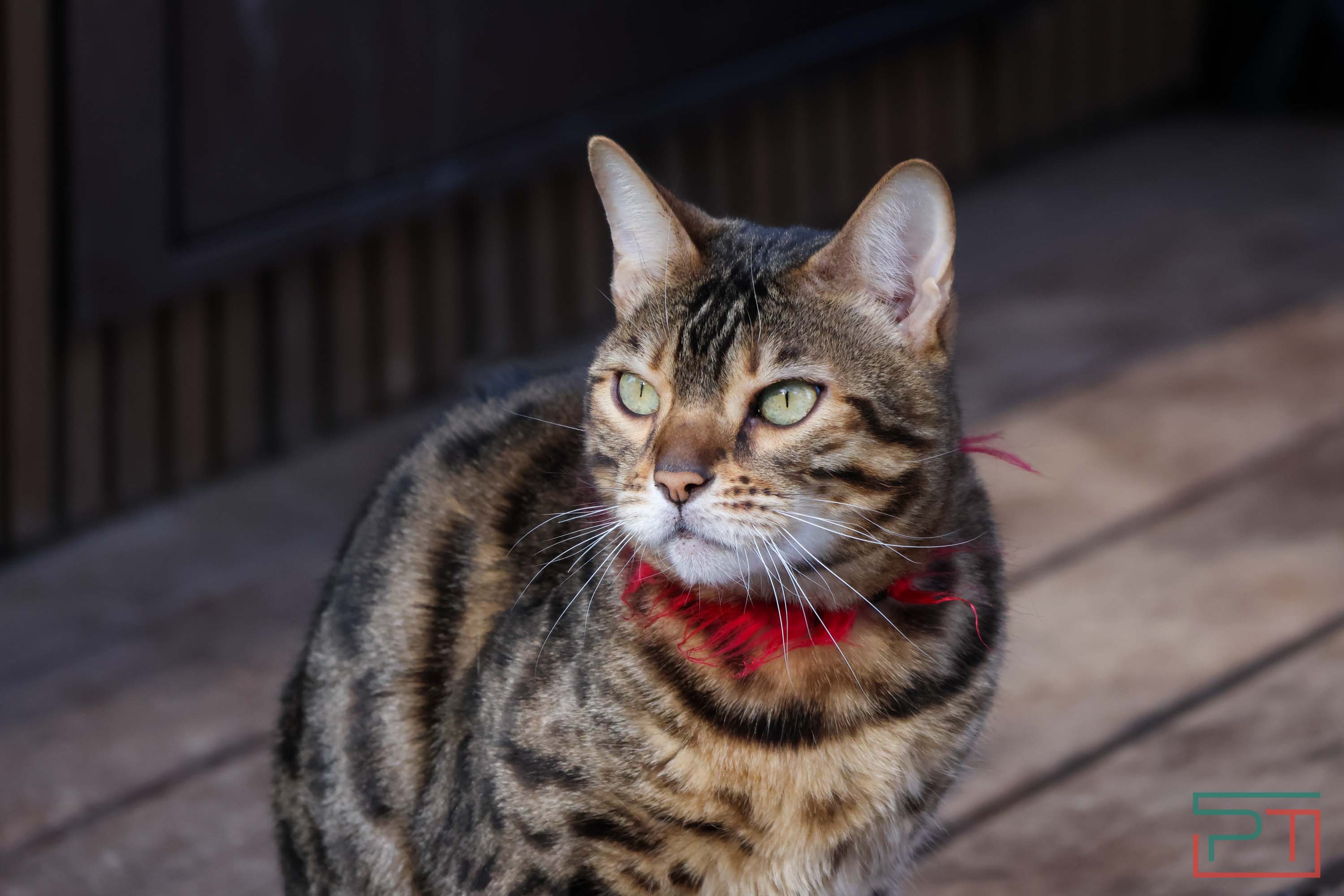 Пресс-тур по глэмпингам Татарстана