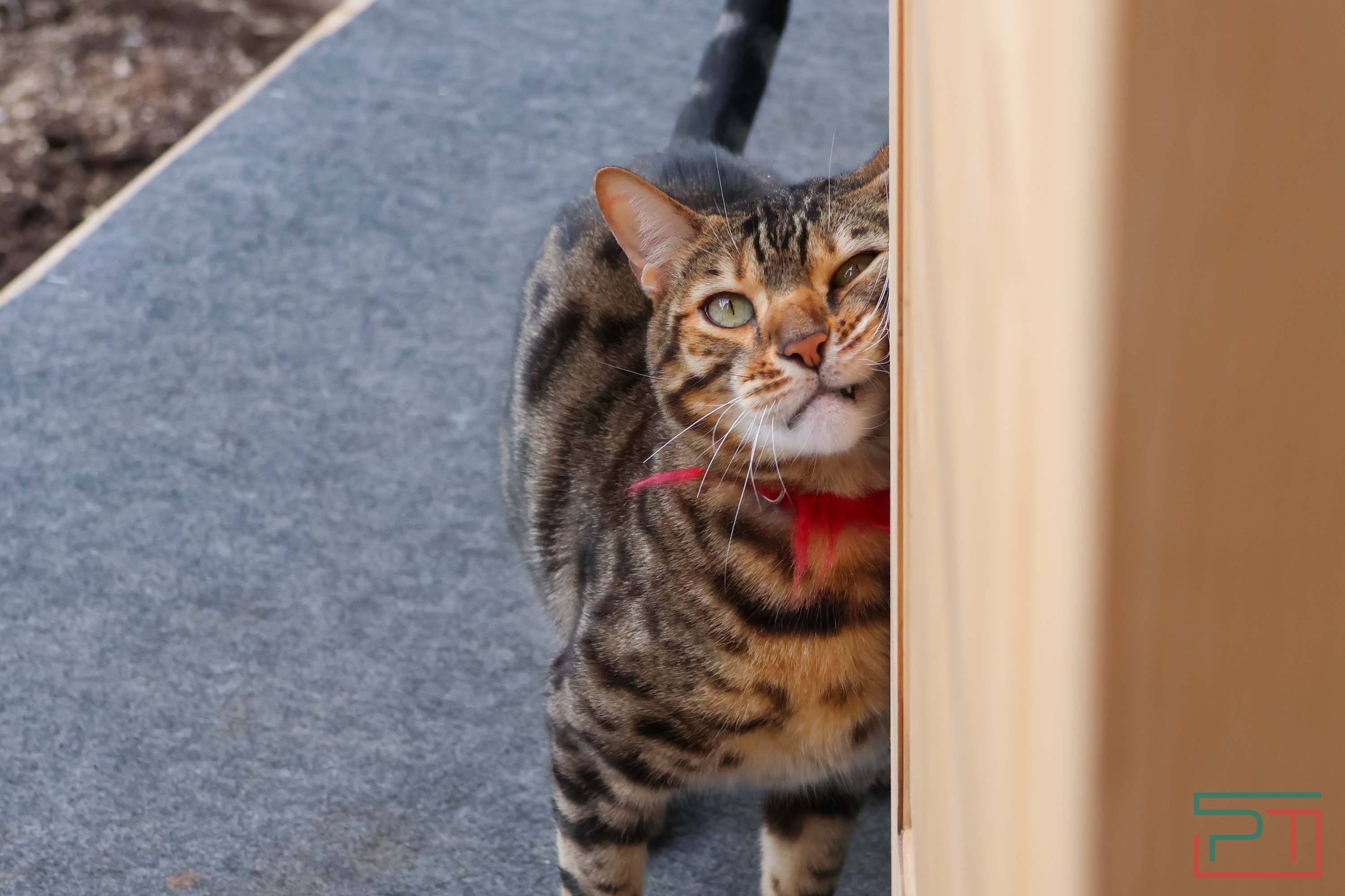 Пресс-тур по глэмпингам Татарстана