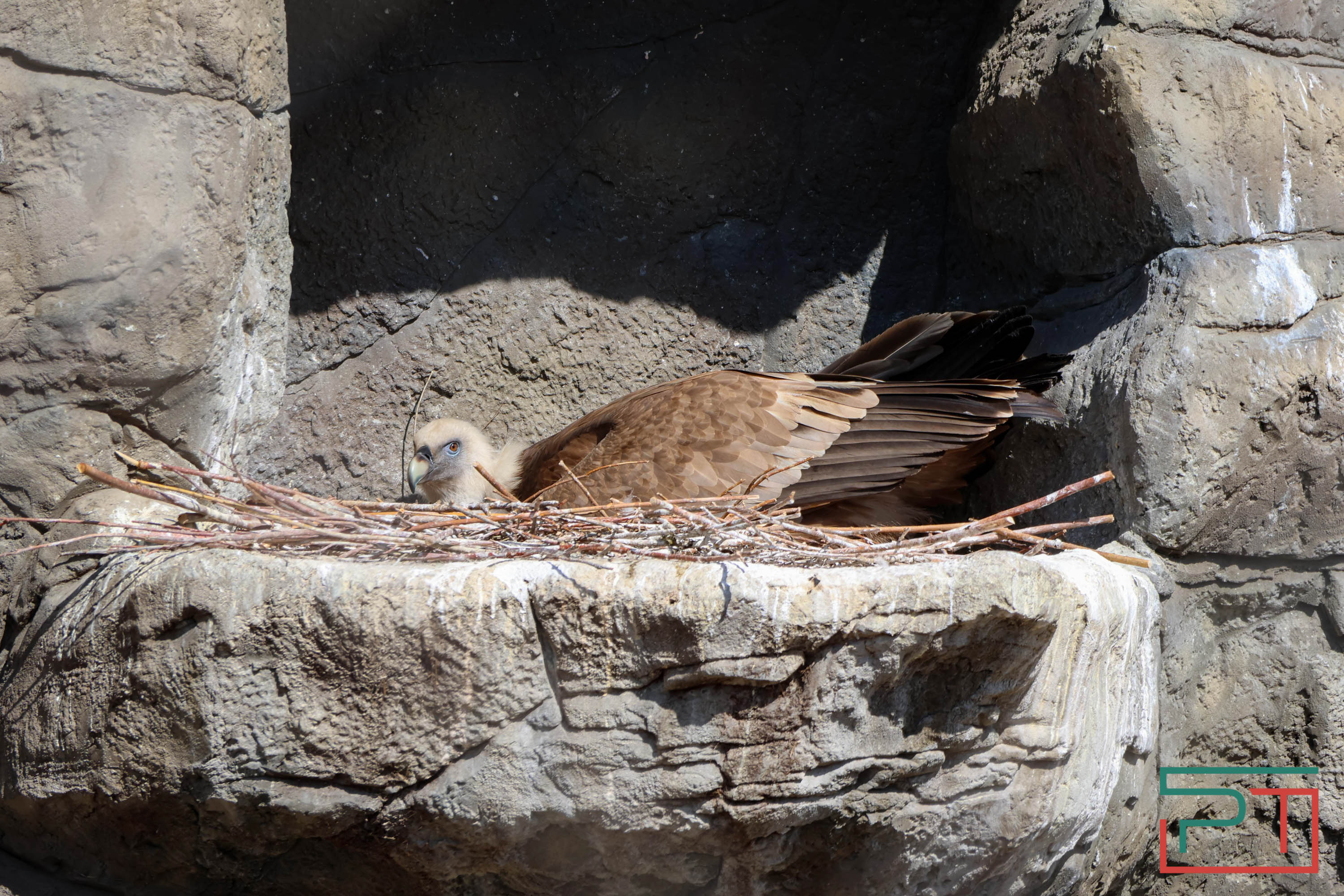 Весна в зооботсаду
