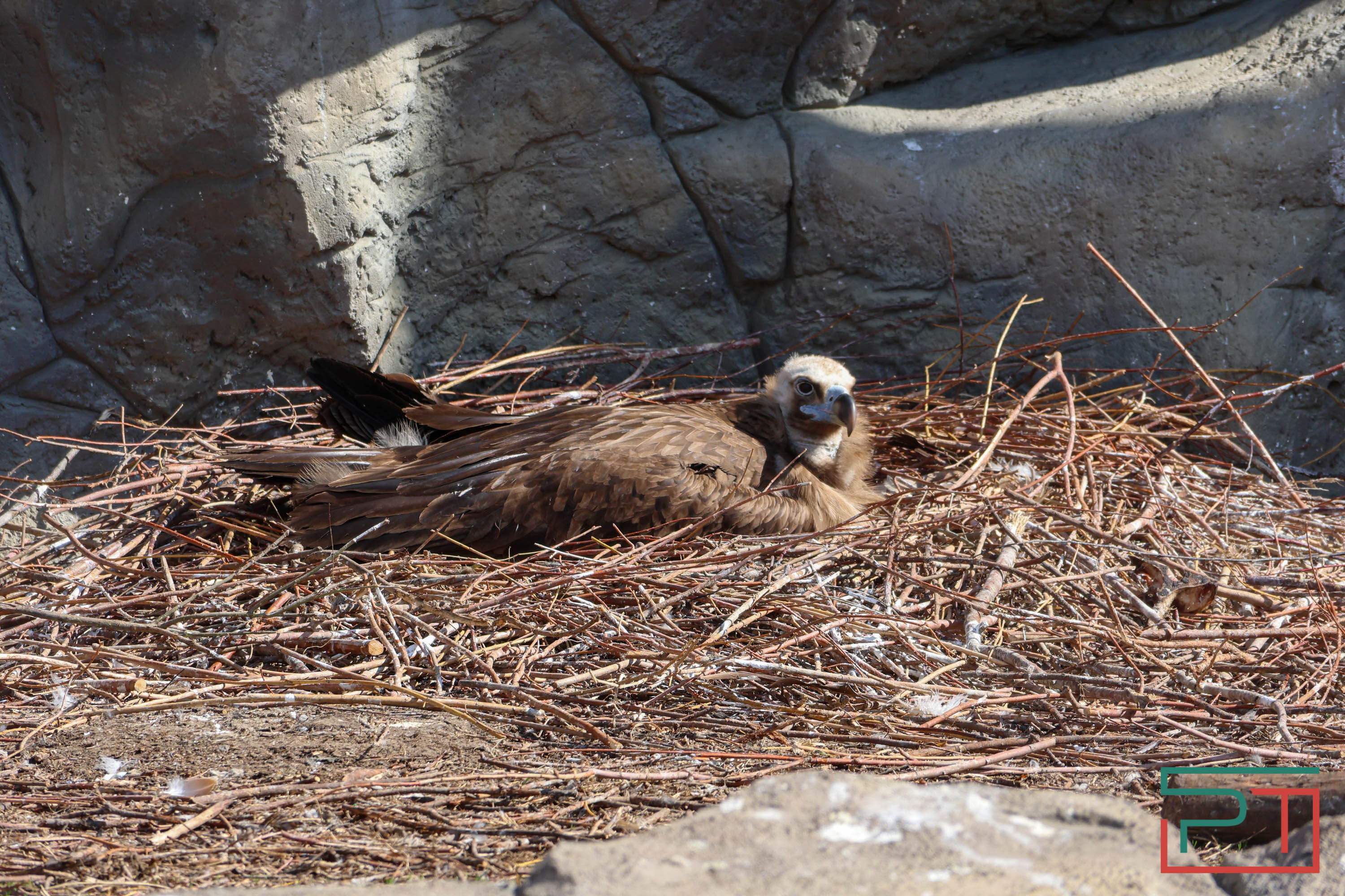 Весна в зооботсаду