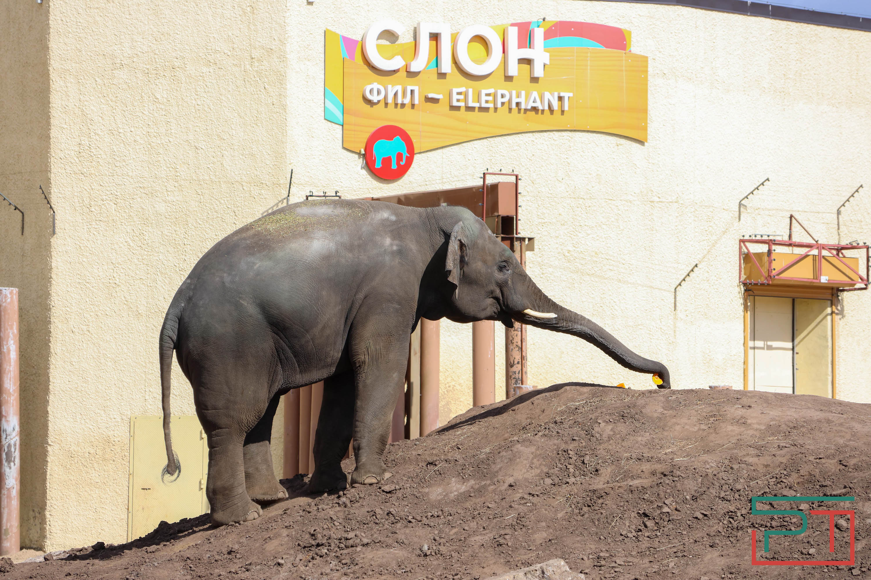 Весна в зооботсаду