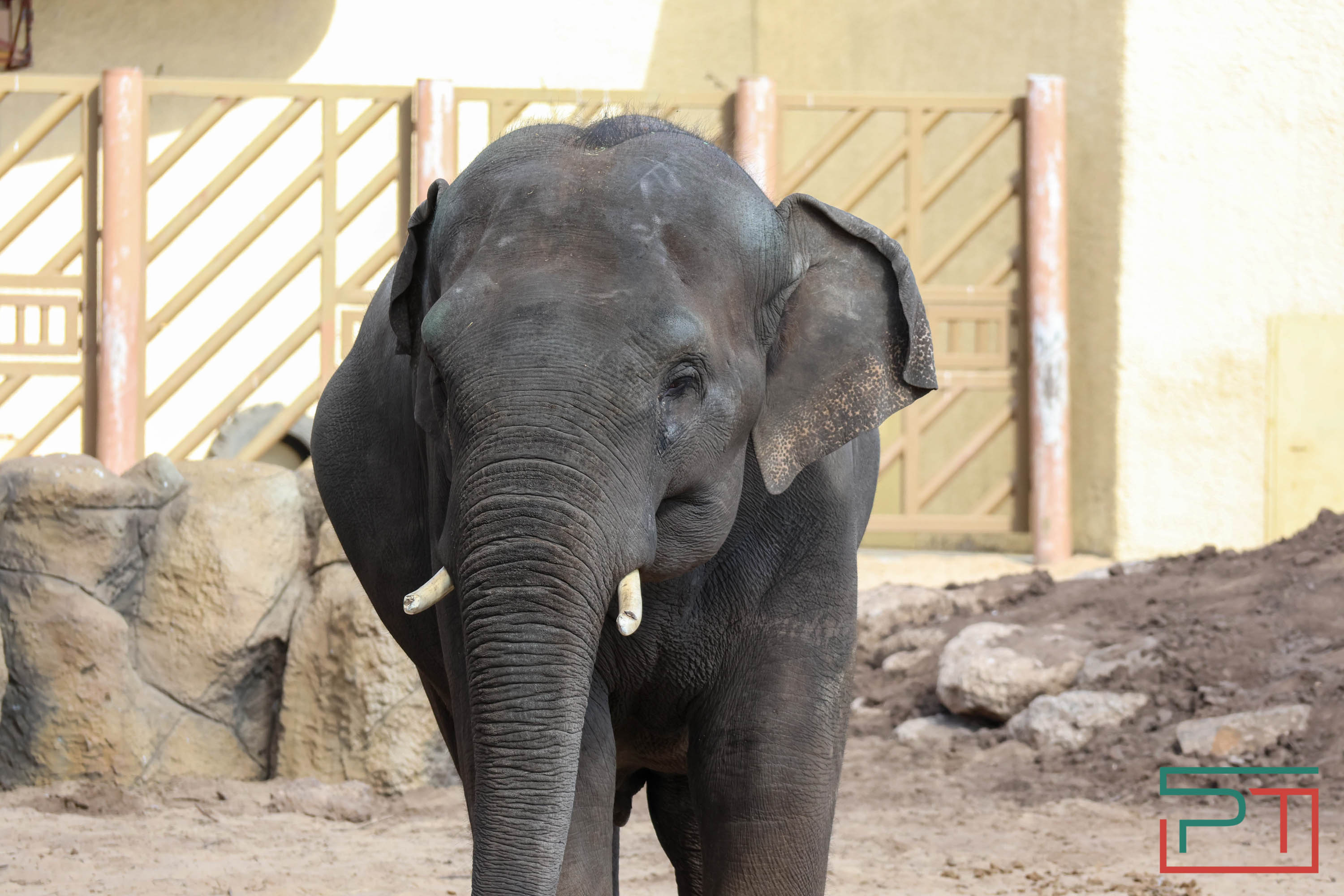 Весна в зооботсаду