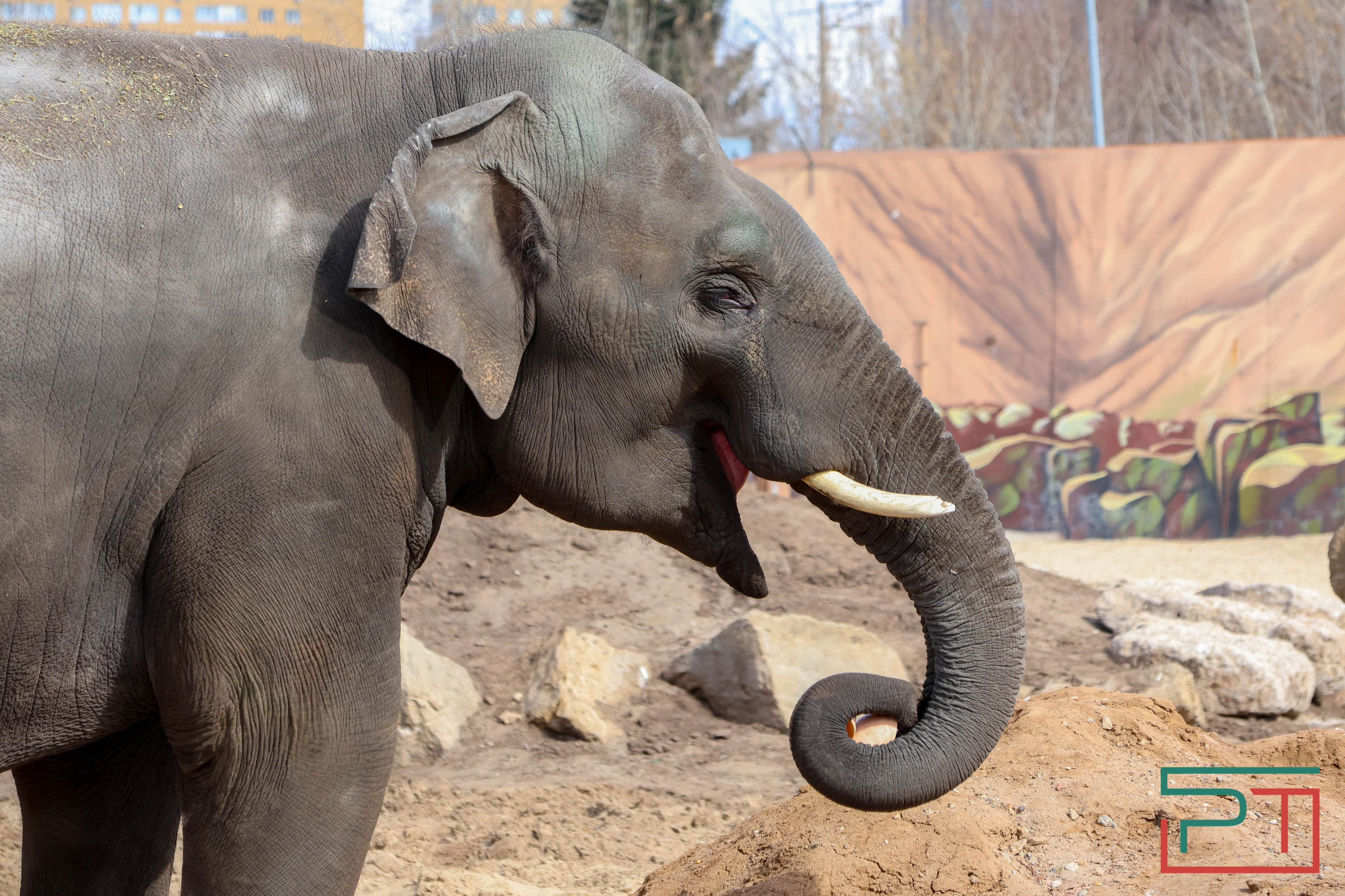 Весна в зооботсаду