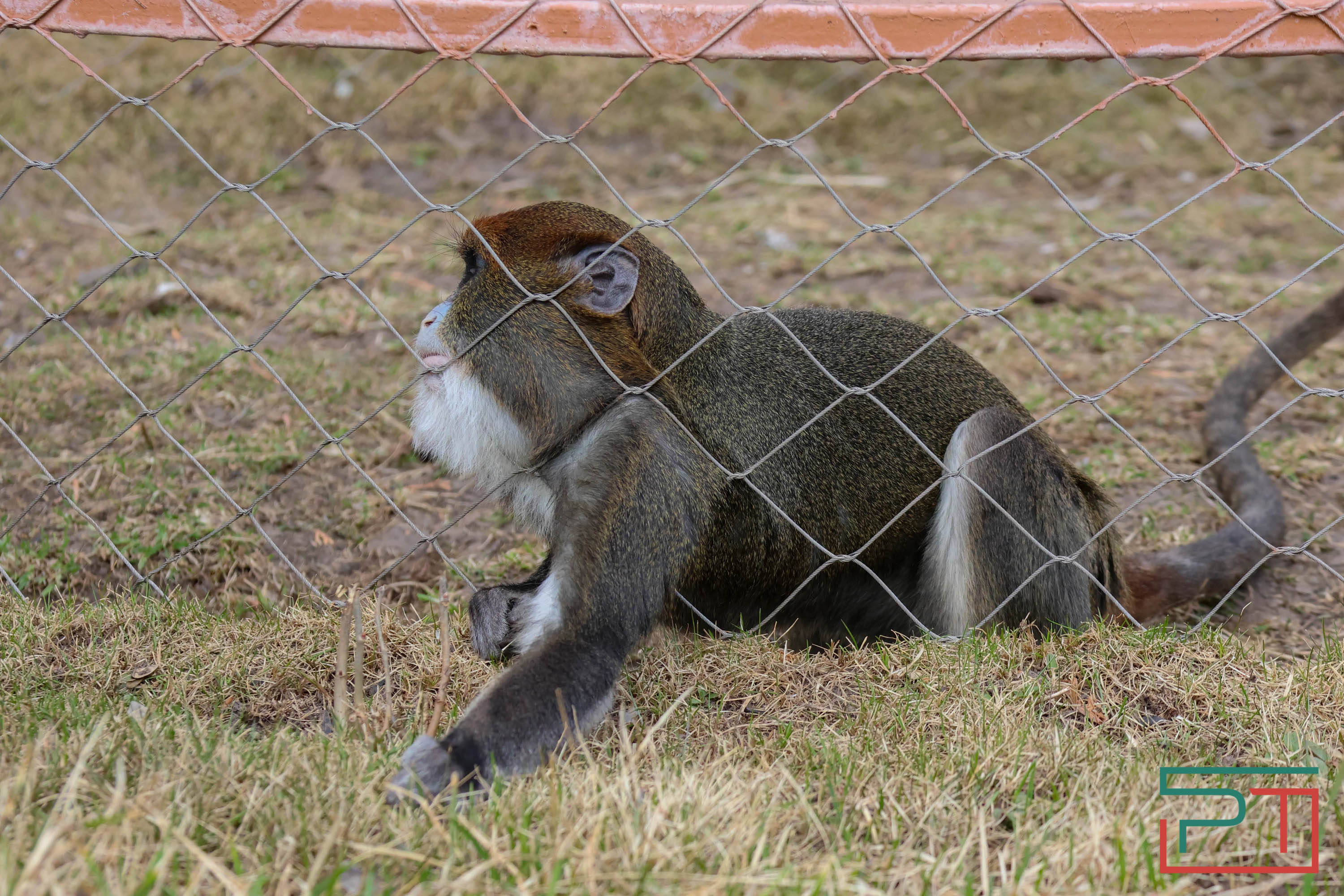 Весна в зооботсаду