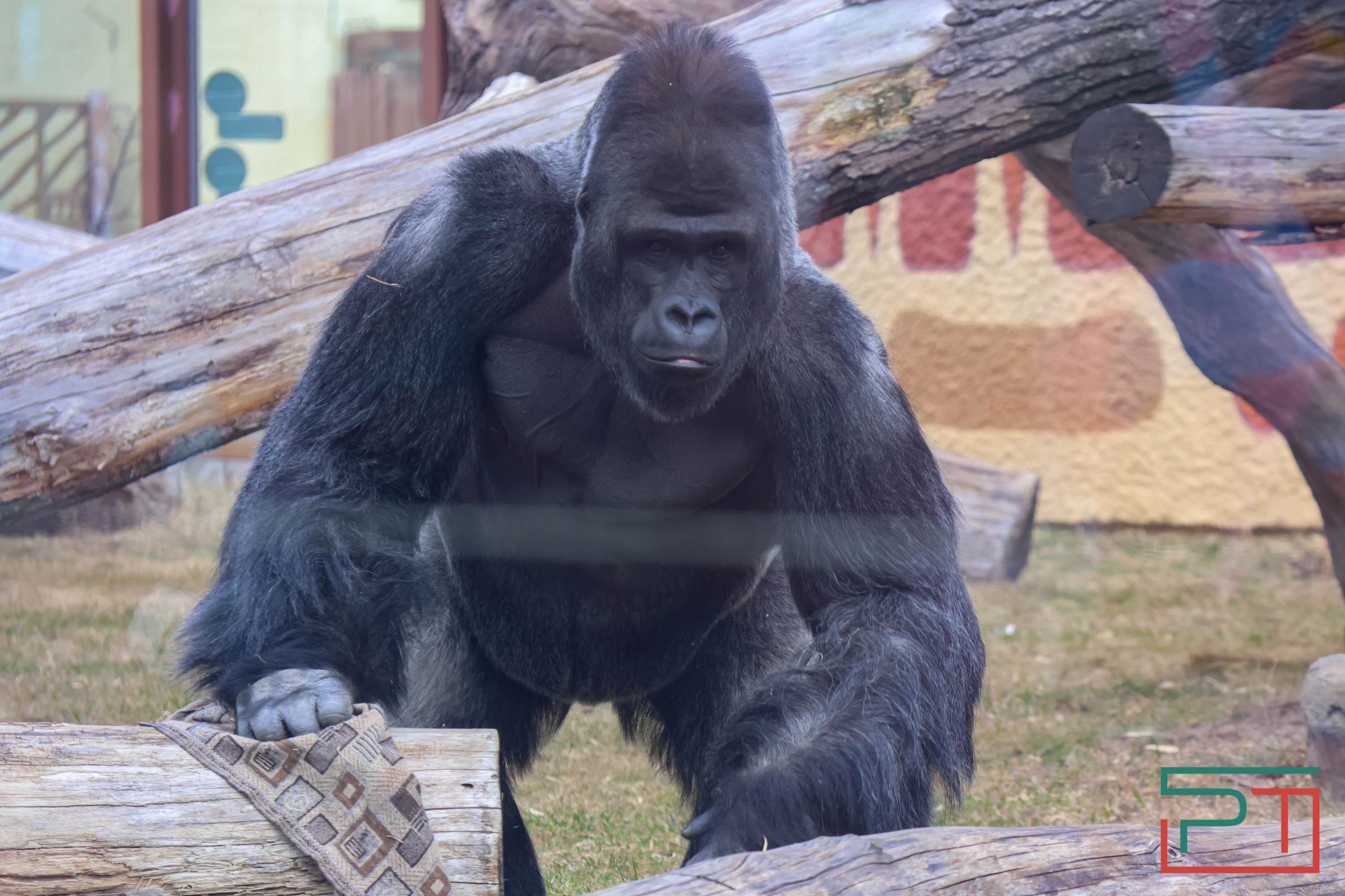 Весна в зооботсаду