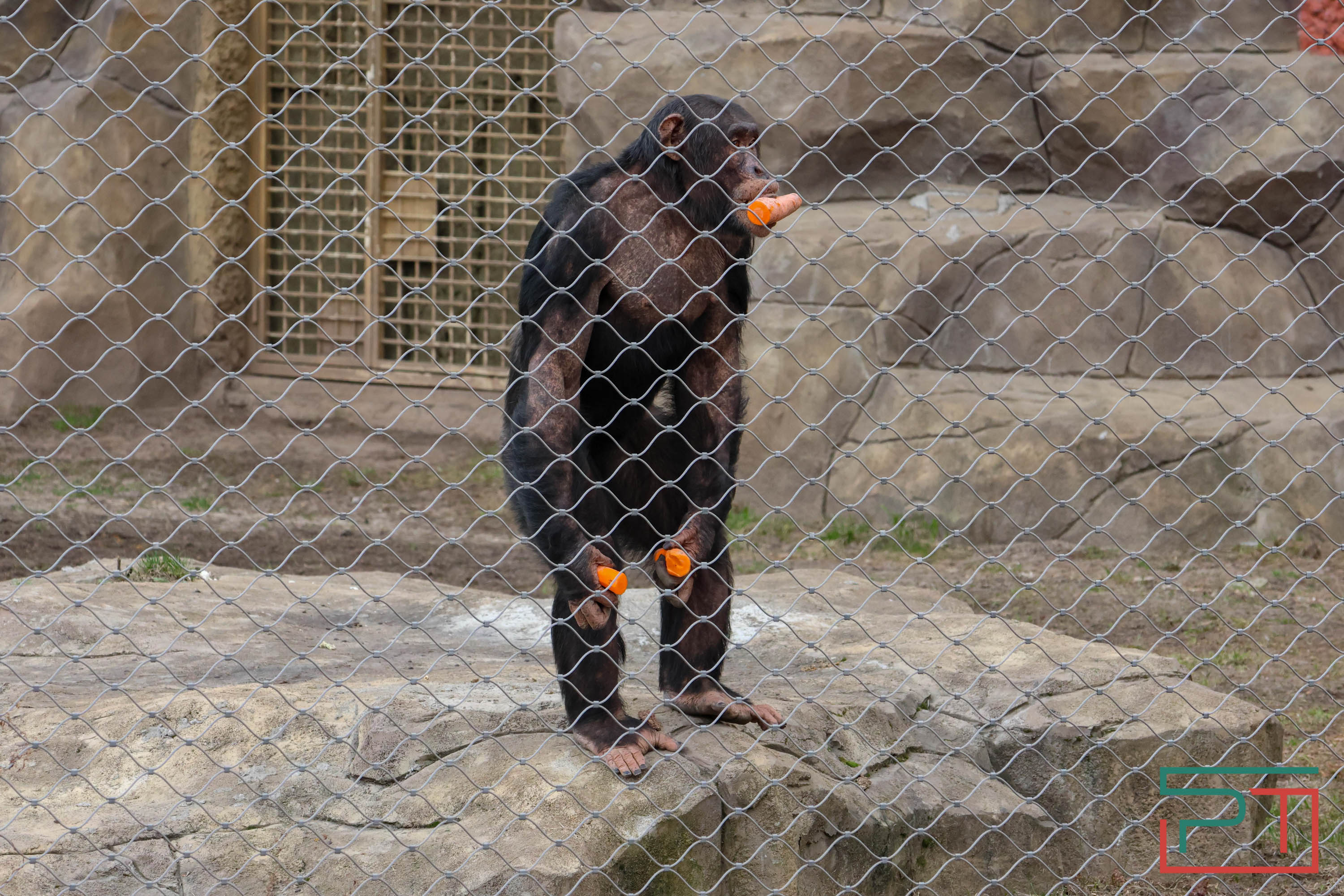 Весна в зооботсаду