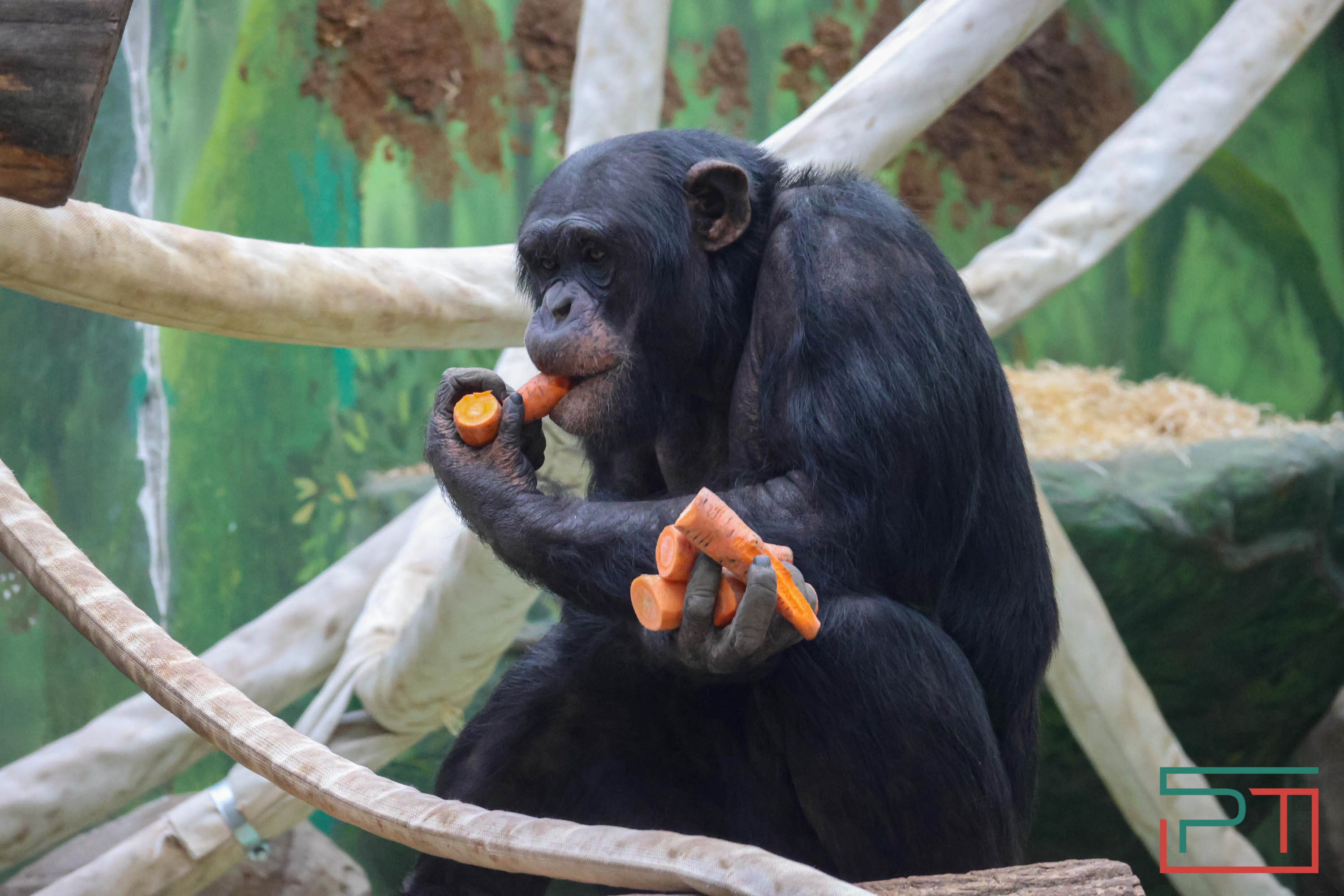 Весна в зооботсаду