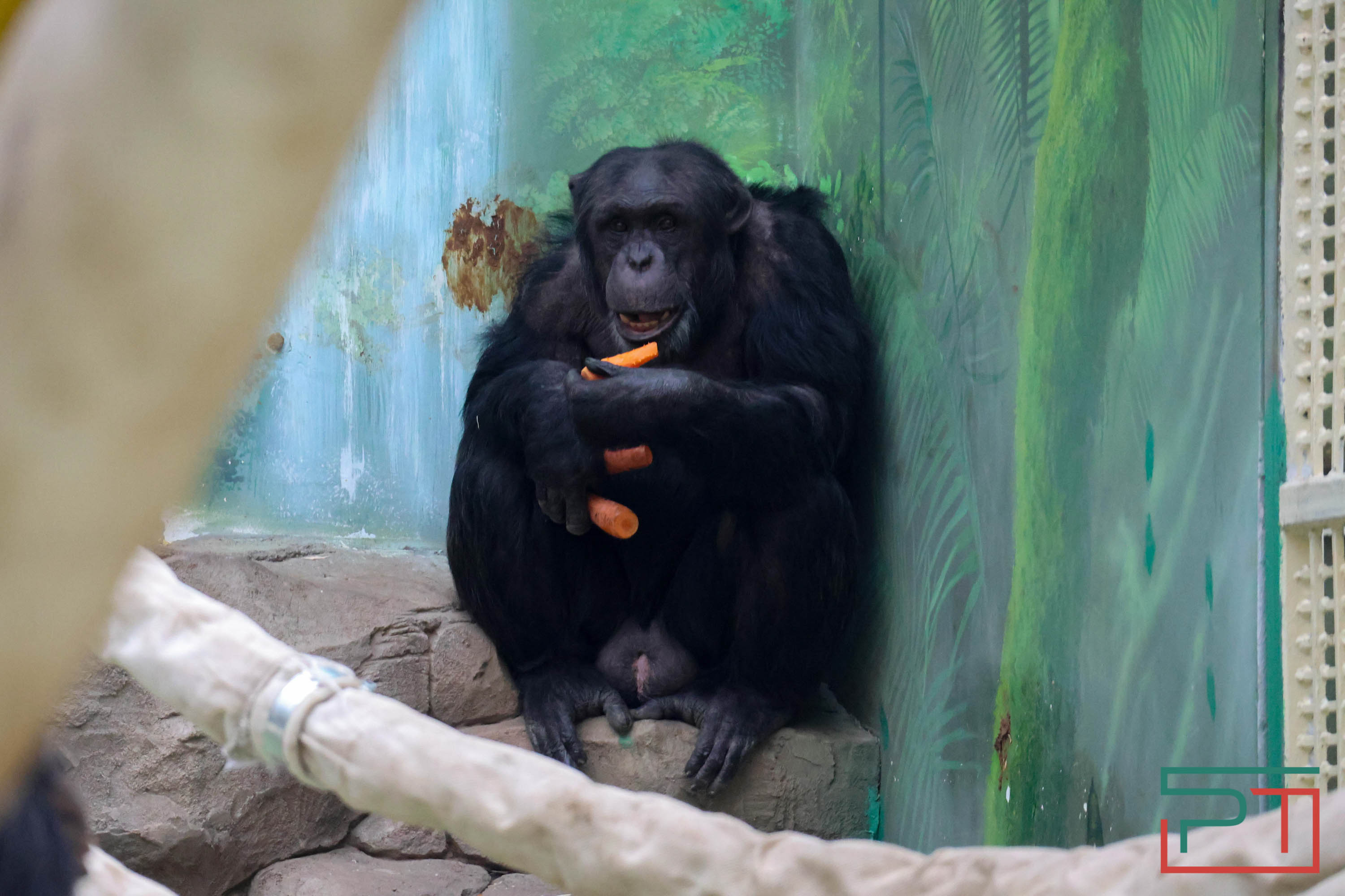 Весна в зооботсаду