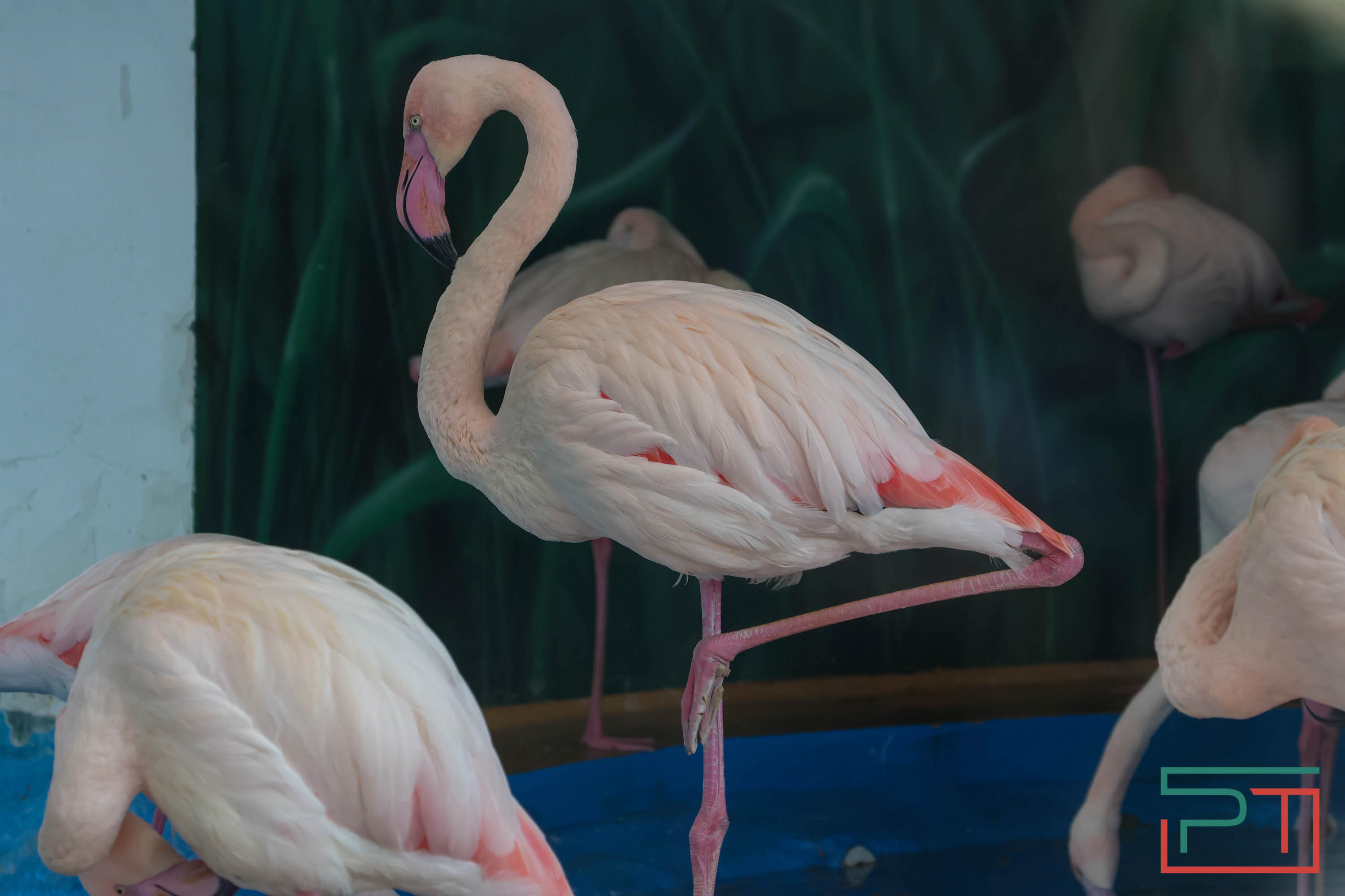 Весна в зооботсаду