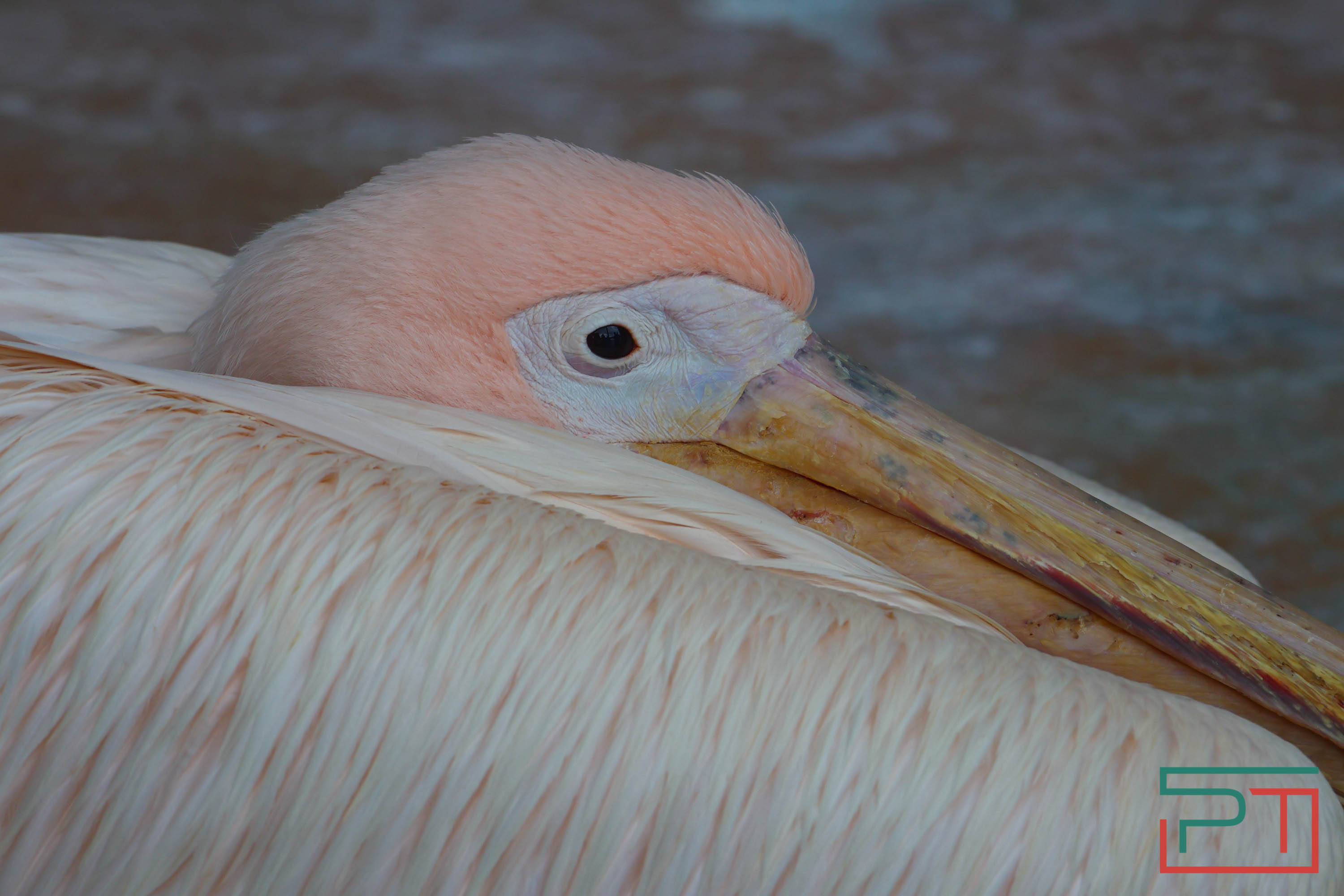 Весна в зооботсаду