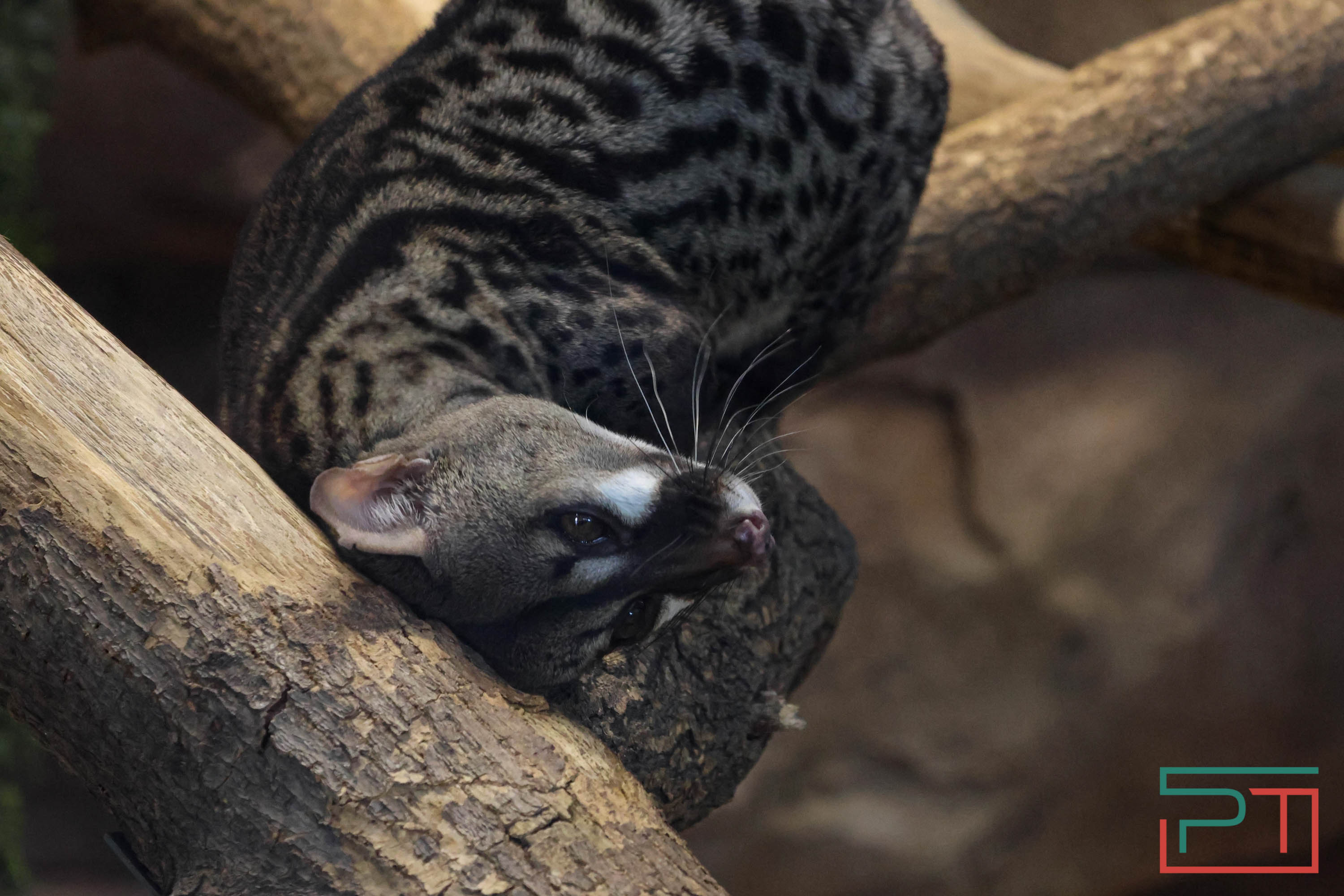 Весна в зооботсаду