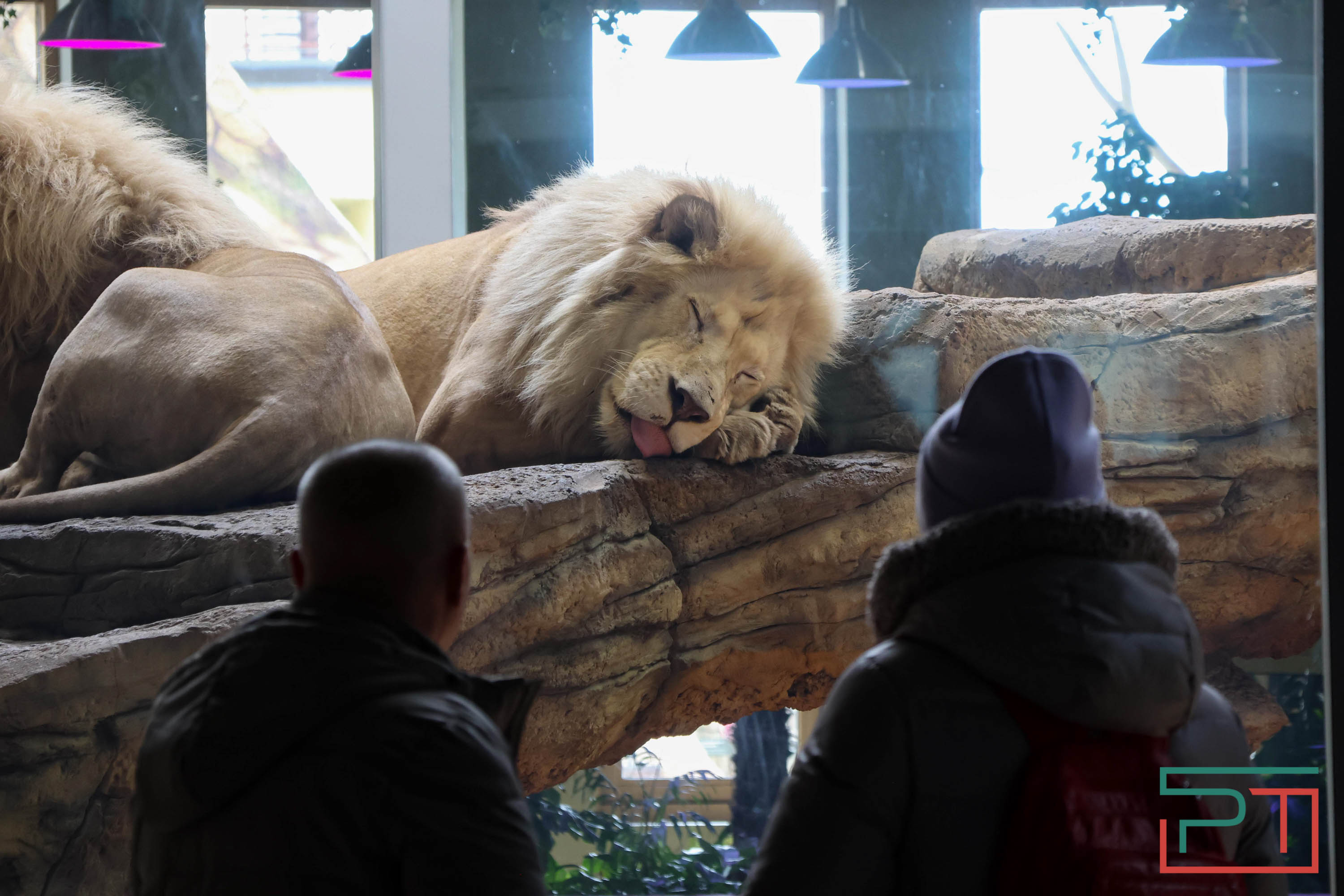 Весна в зооботсаду