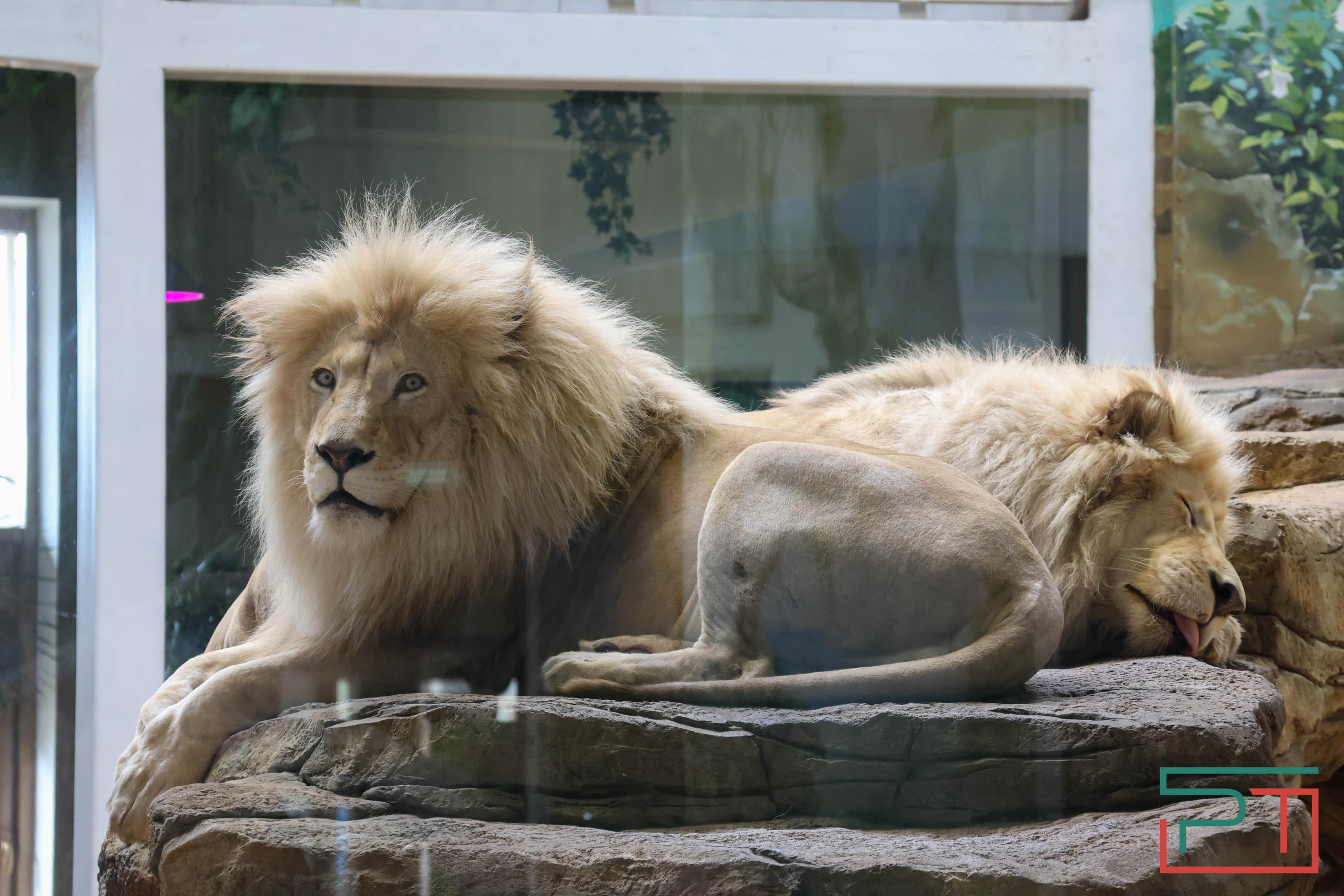 Весна в зооботсаду