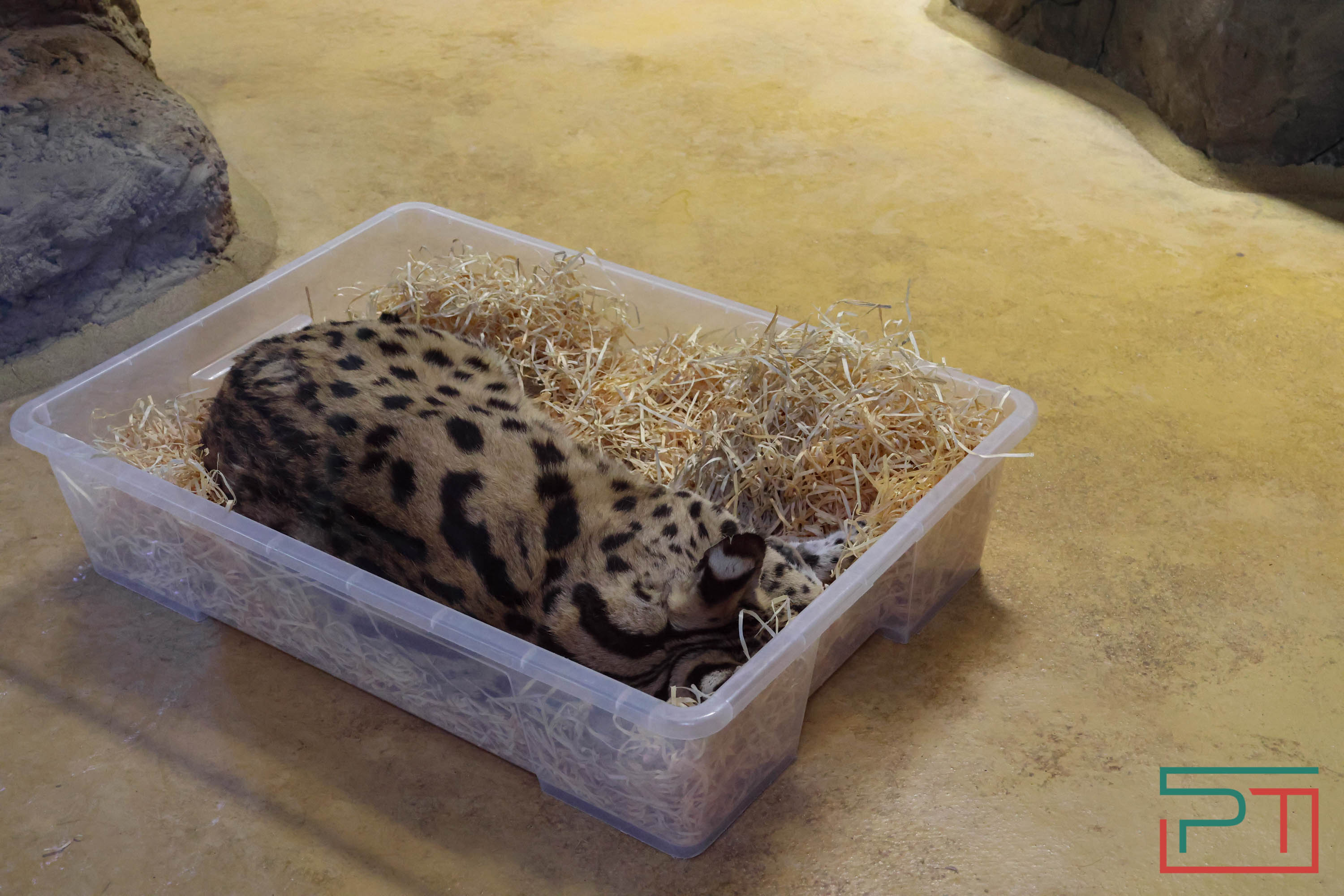 Весна в зооботсаду